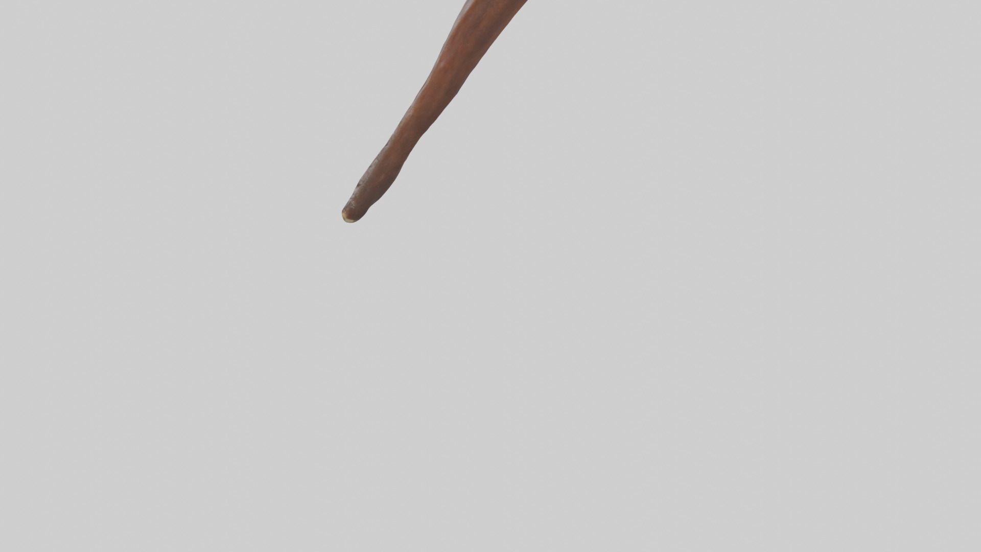 Horse Rib Low-poly 3D model_3