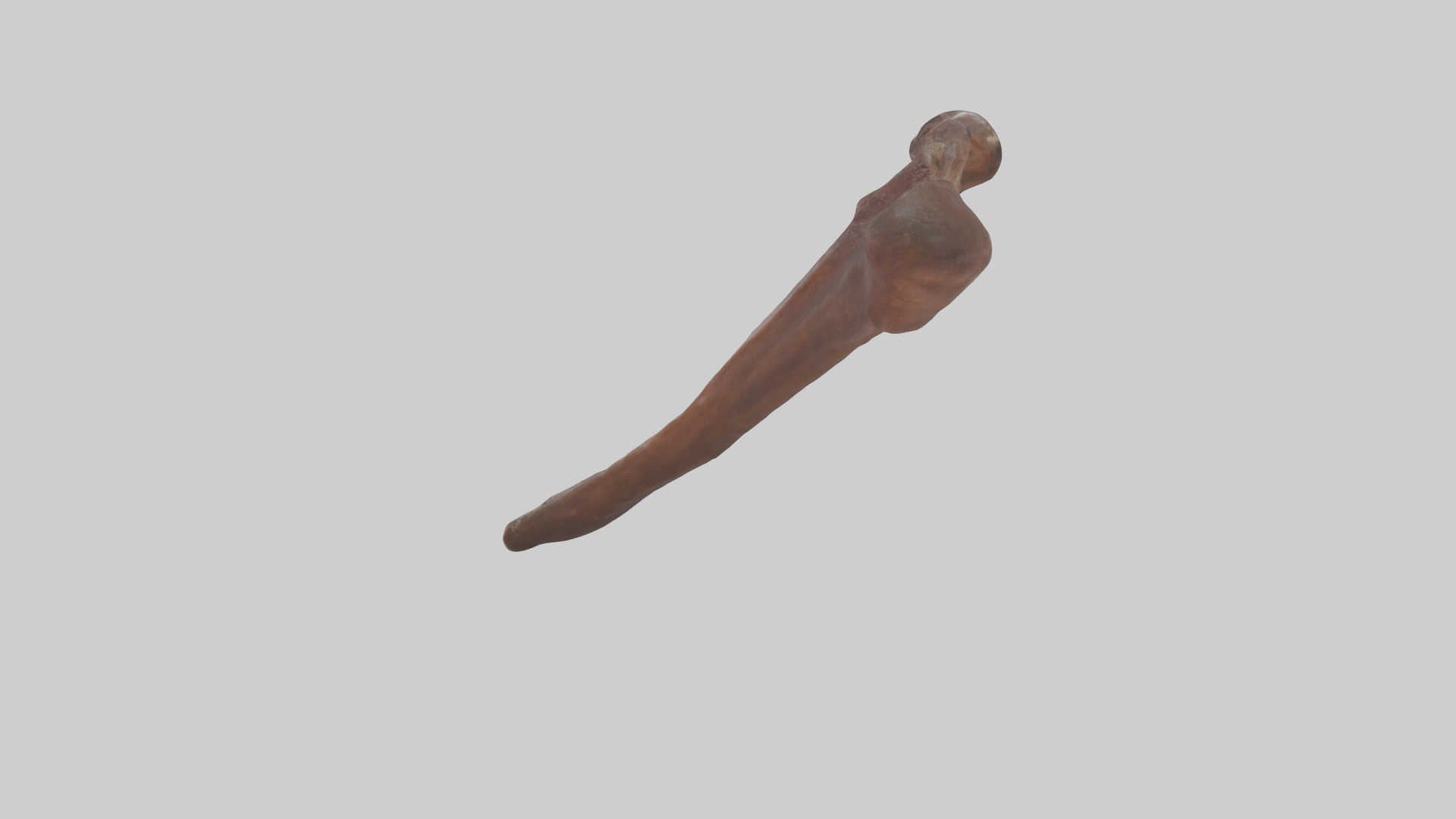 Horse Rib Low-poly 3D model_15