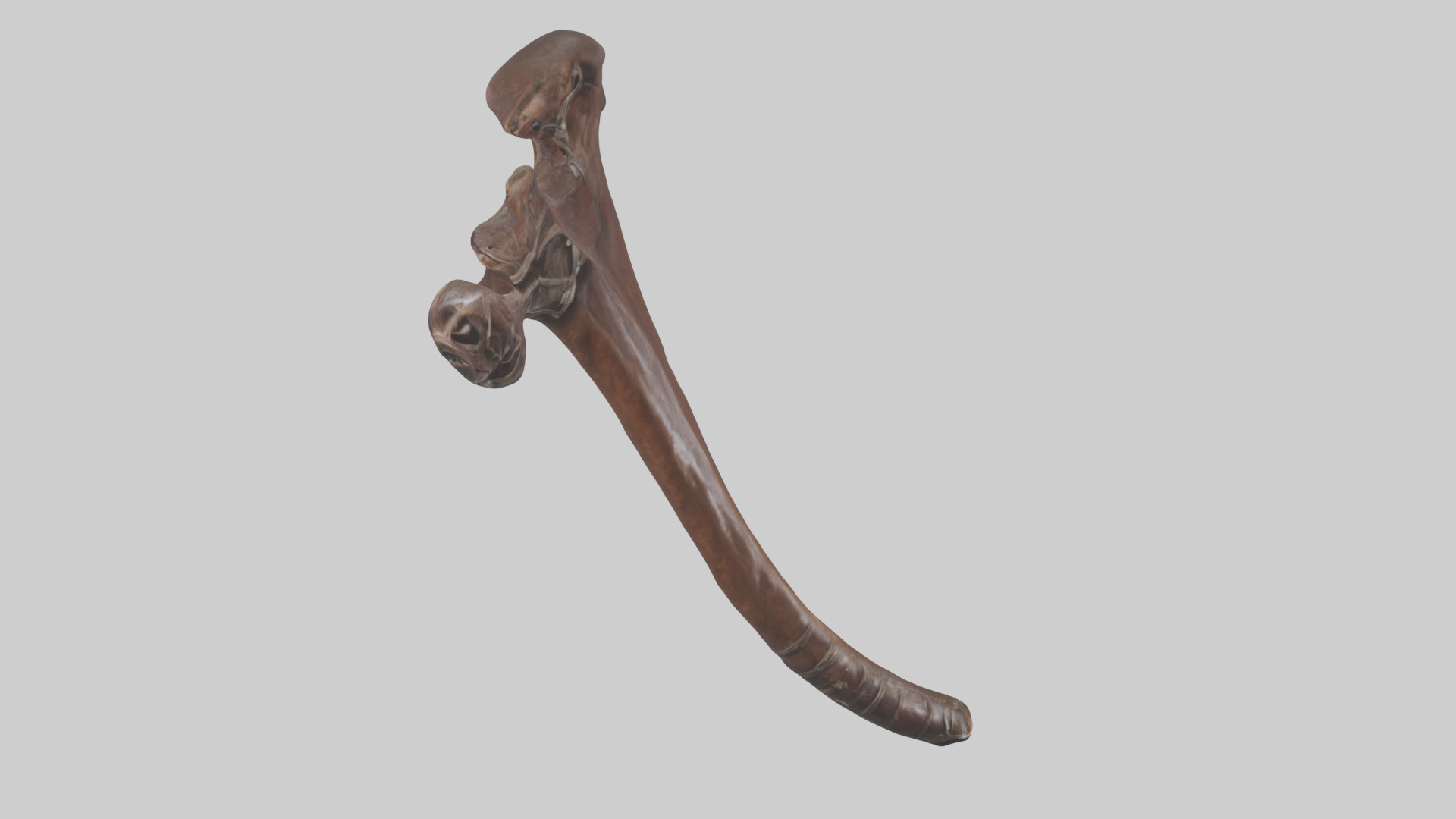 Horse Rib Low-poly 3D model_16