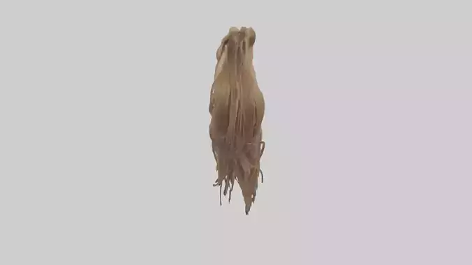Horse Tail Low-poly 3D model