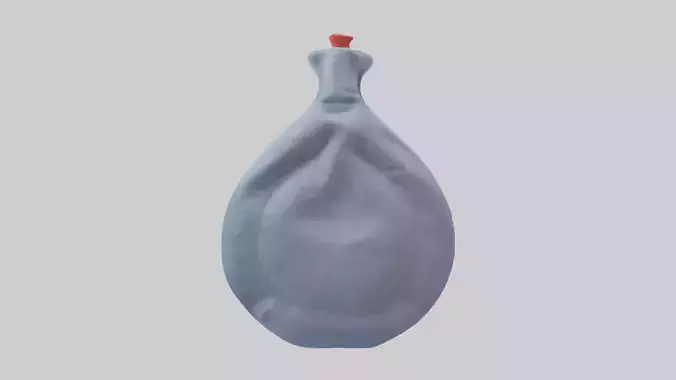 Hot Water Bottle model