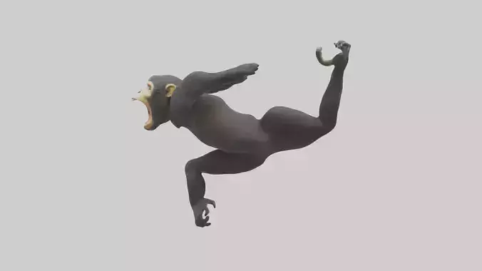 Howler Monkey swinging model