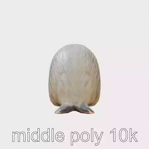 Nutria Curiosity Pose A 3D Model with Inquisitive Posture