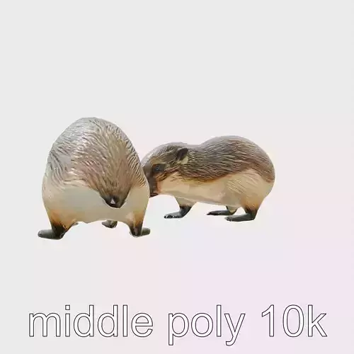 Nutria Social Interaction Realistic Model