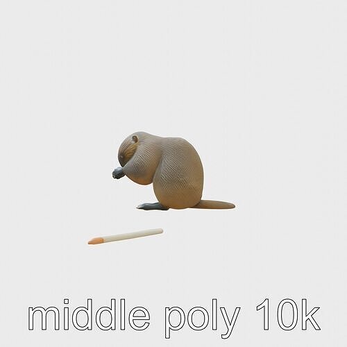 Nutria Grooming Self-Care Naturalistic 3D Model Low-poly 3D model