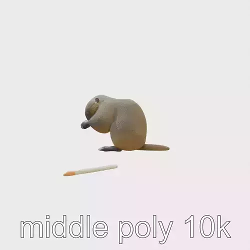 Nutria Grooming Self-Care Naturalistic 3D Model Low-poly 3D model