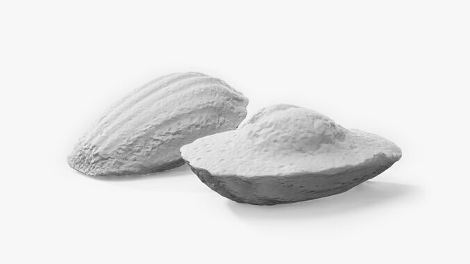 Madeleine Cookie Low-poly 3D model 2