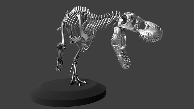 Silver T-Rex Skeleton 3D model