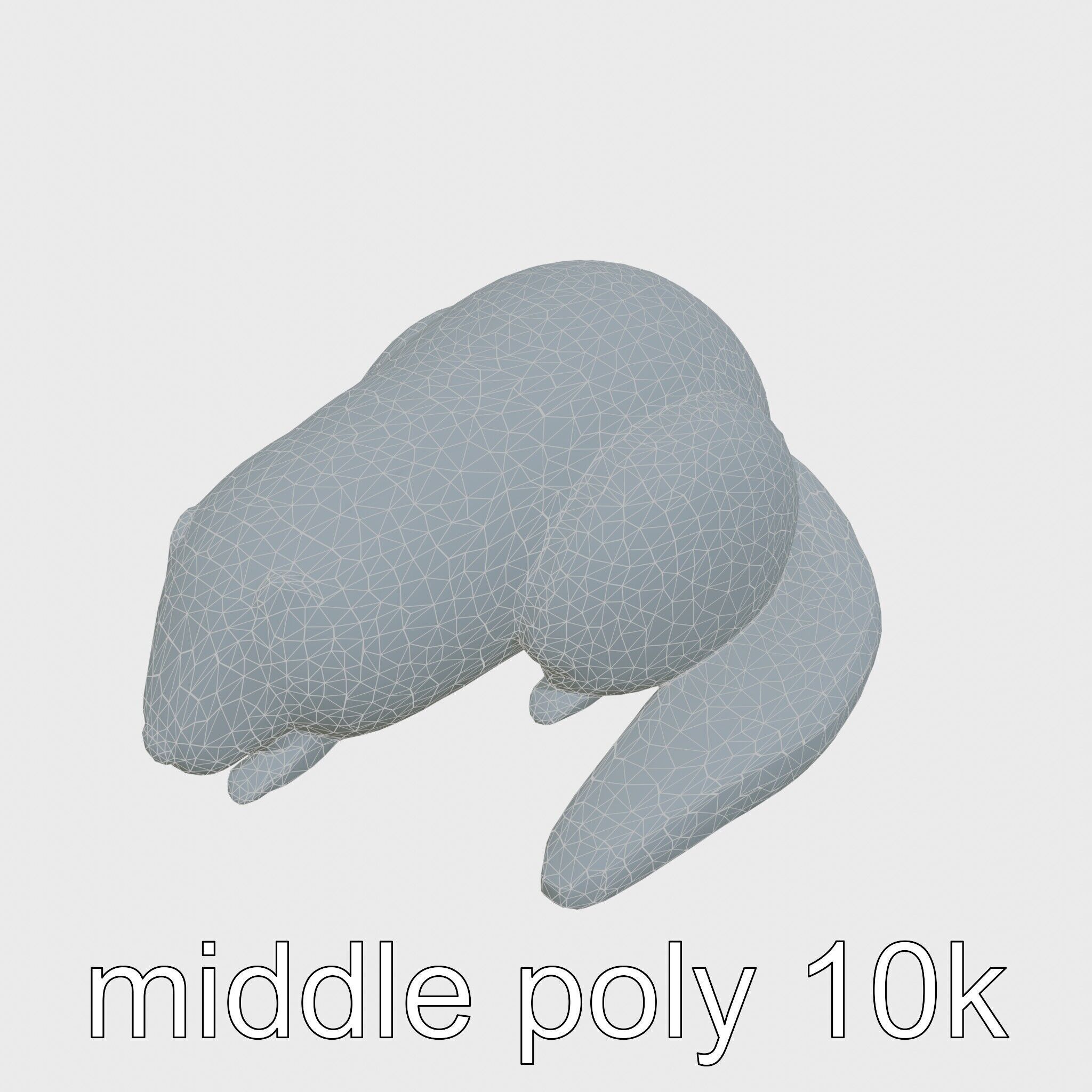 Peaceful Nutria Riverside Nap 3D Model Low-poly 3D model_18