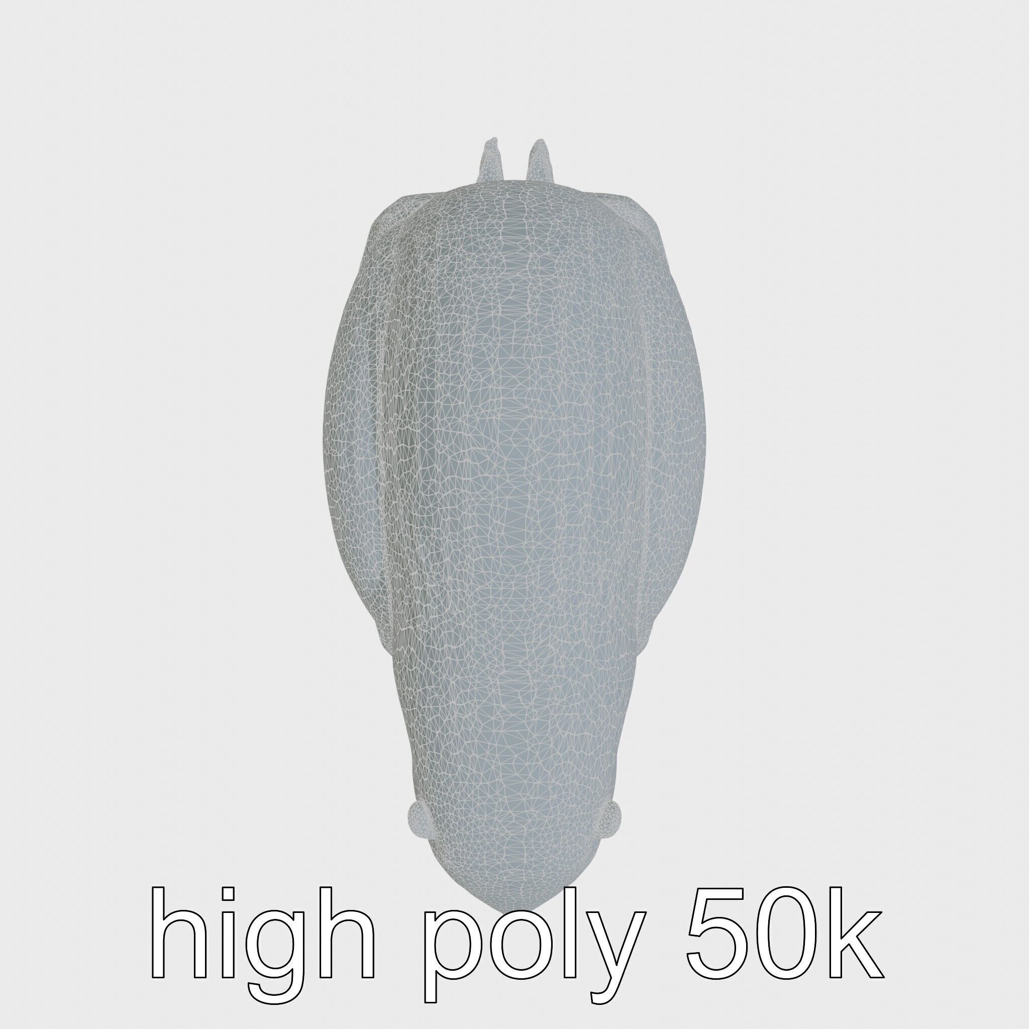 Peaceful Nutria Riverside Nap 3D Model Low-poly 3D model_14