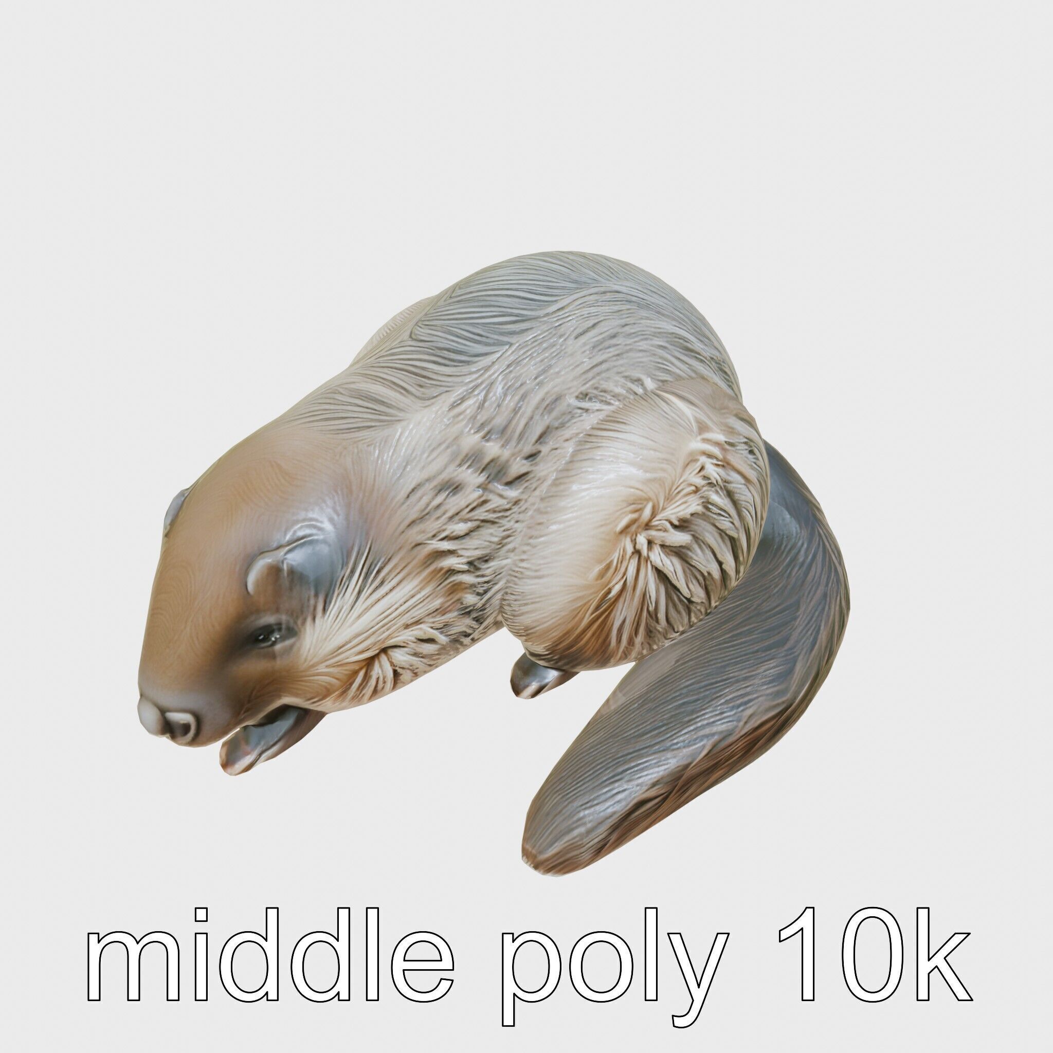 Peaceful Nutria Riverside Nap 3D Model Low-poly 3D model_12