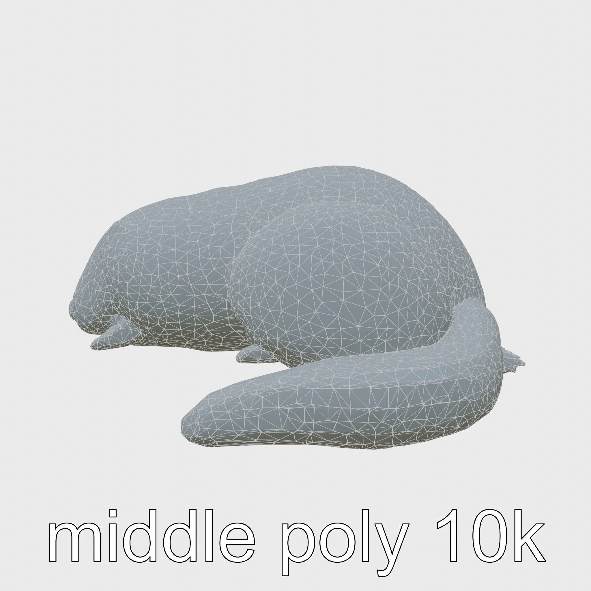 Peaceful Nutria Riverside Nap 3D Model Low-poly 3D model_26