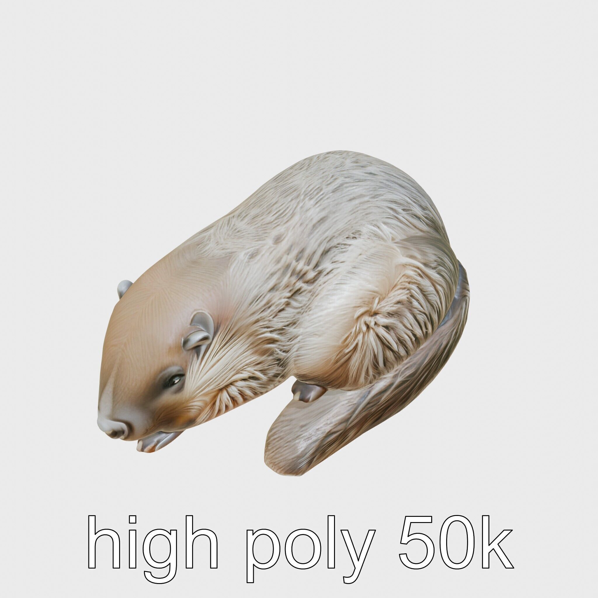 Peaceful Nutria Riverside Nap 3D Model Low-poly 3D model_11