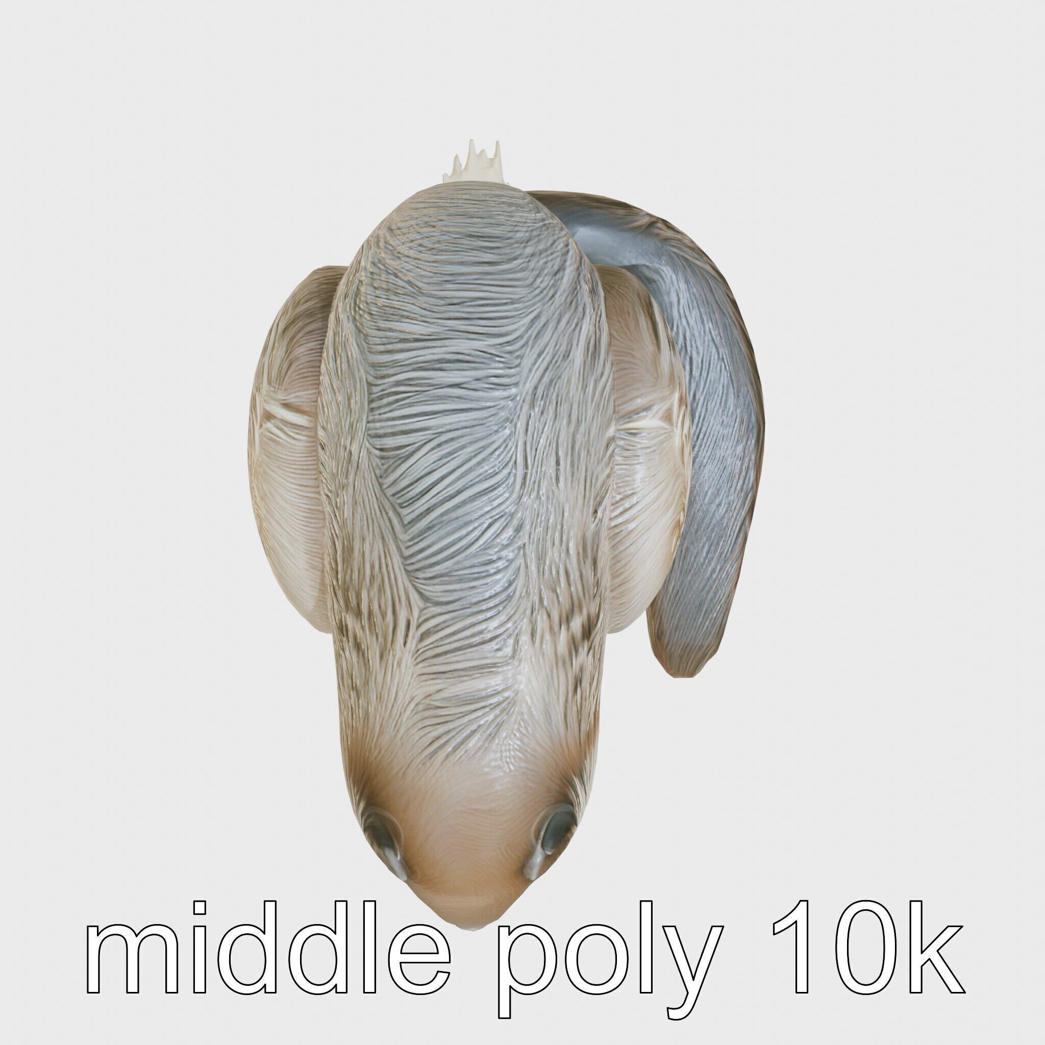 Peaceful Nutria Riverside Nap 3D Model Low-poly 3D model_21