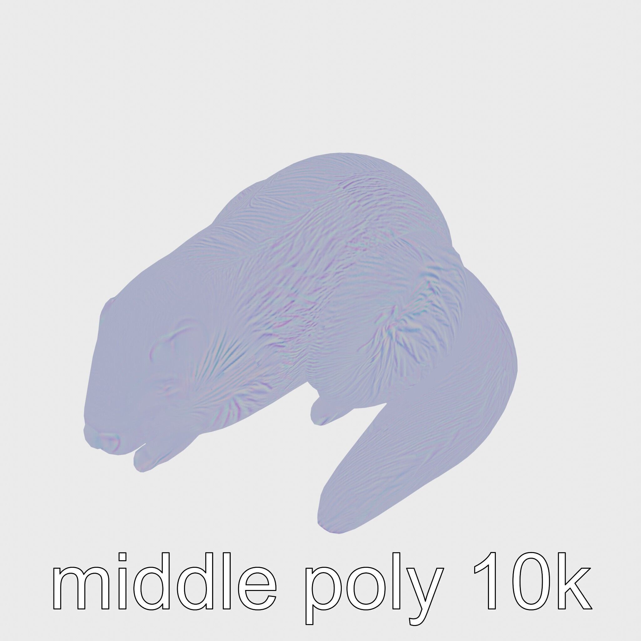 Peaceful Nutria Riverside Nap 3D Model Low-poly 3D model_33