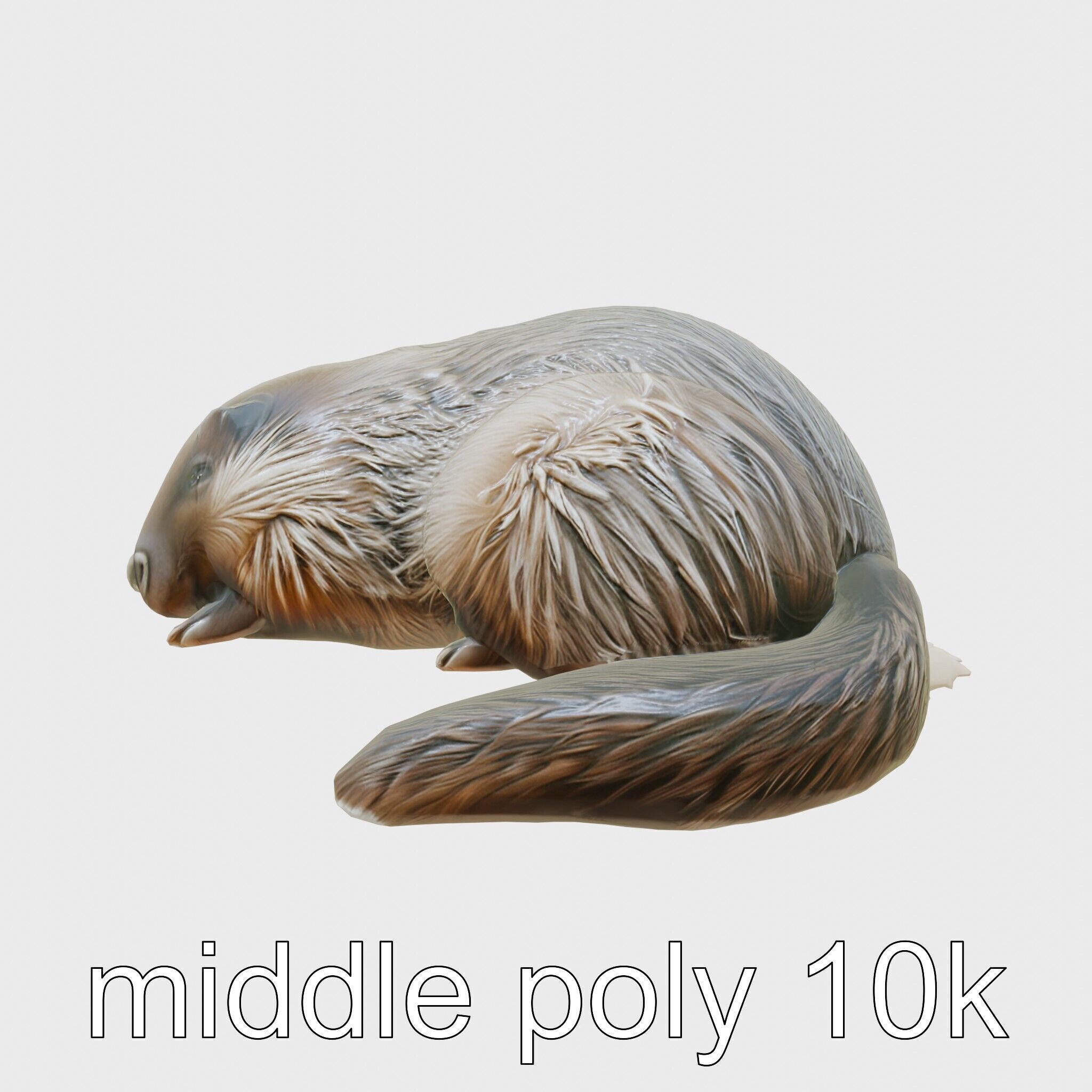 Peaceful Nutria Riverside Nap 3D Model Low-poly 3D model_28