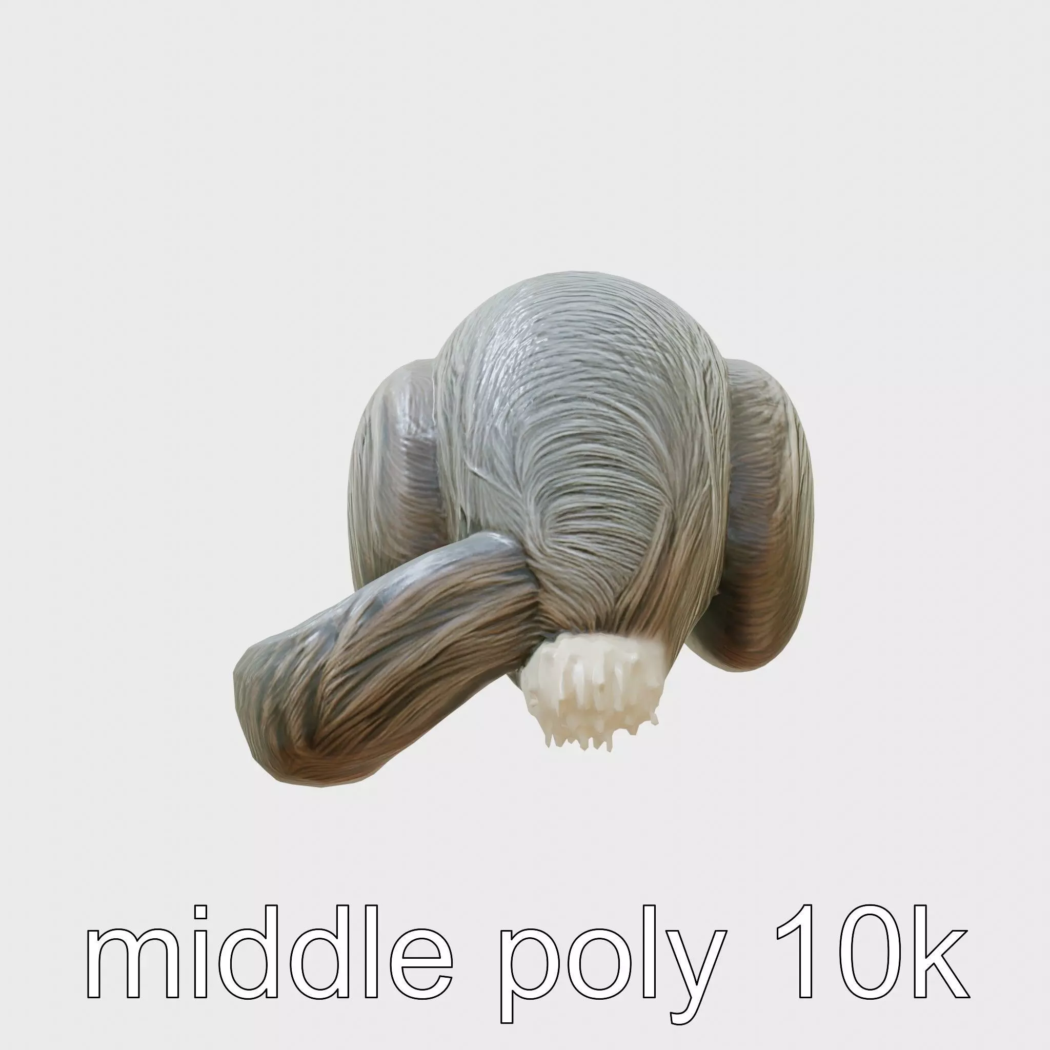 Peaceful Nutria Riverside Nap 3D Model Low-poly 3D model_0