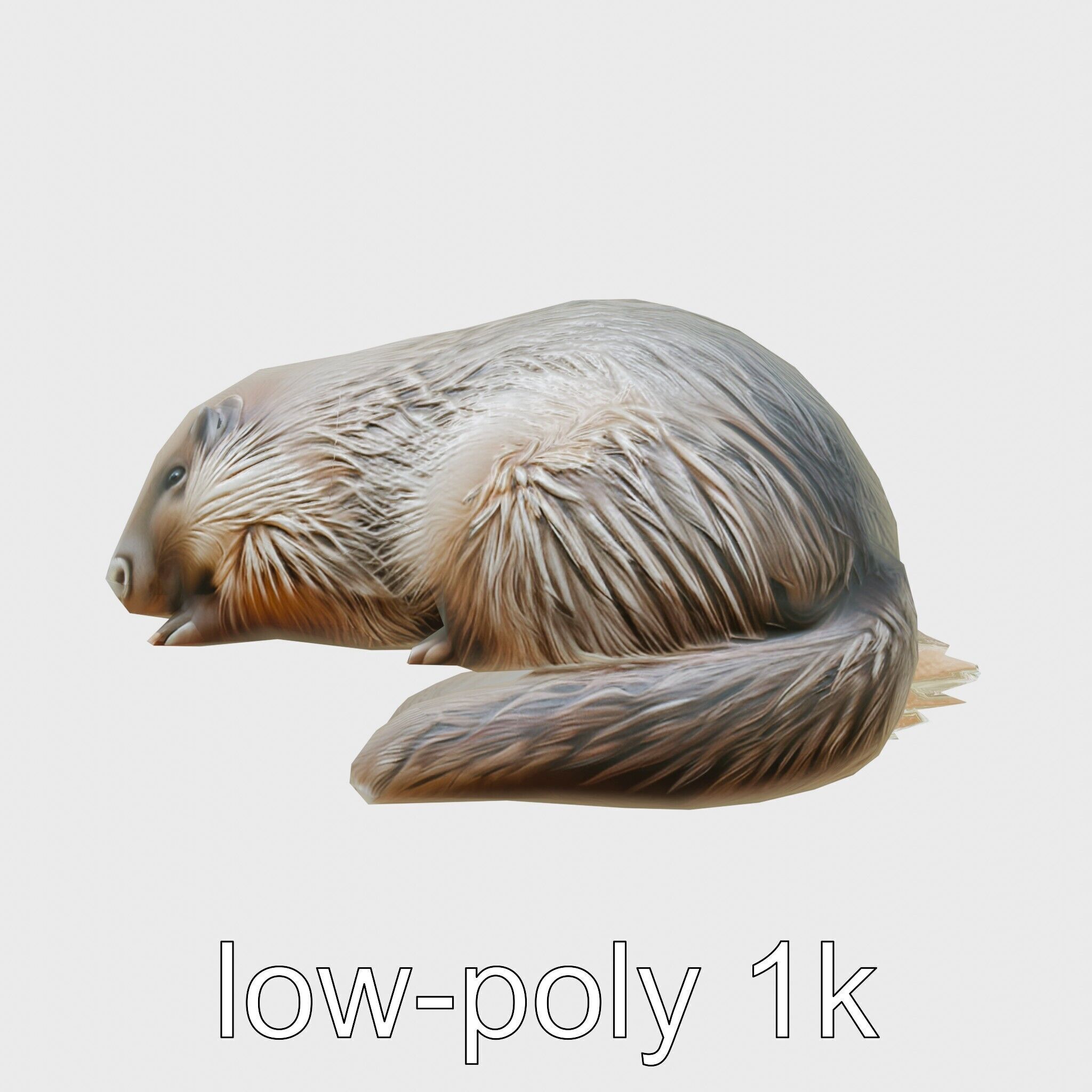 Peaceful Nutria Riverside Nap 3D Model Low-poly 3D model_23