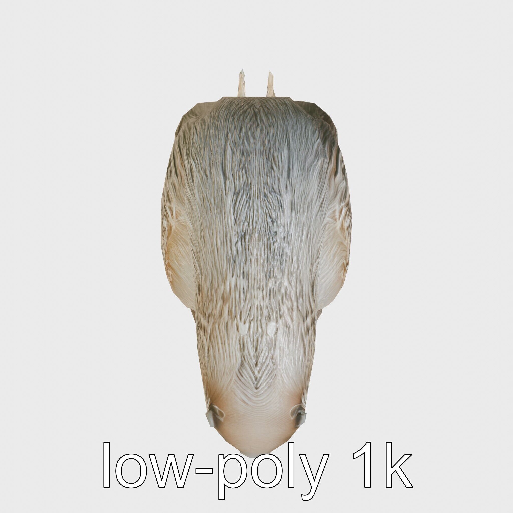 Peaceful Nutria Riverside Nap 3D Model Low-poly 3D model_7