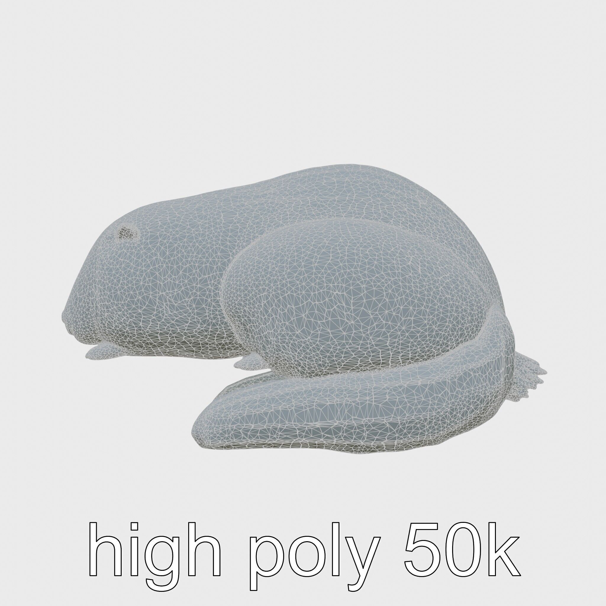 Peaceful Nutria Riverside Nap 3D Model Low-poly 3D model_31