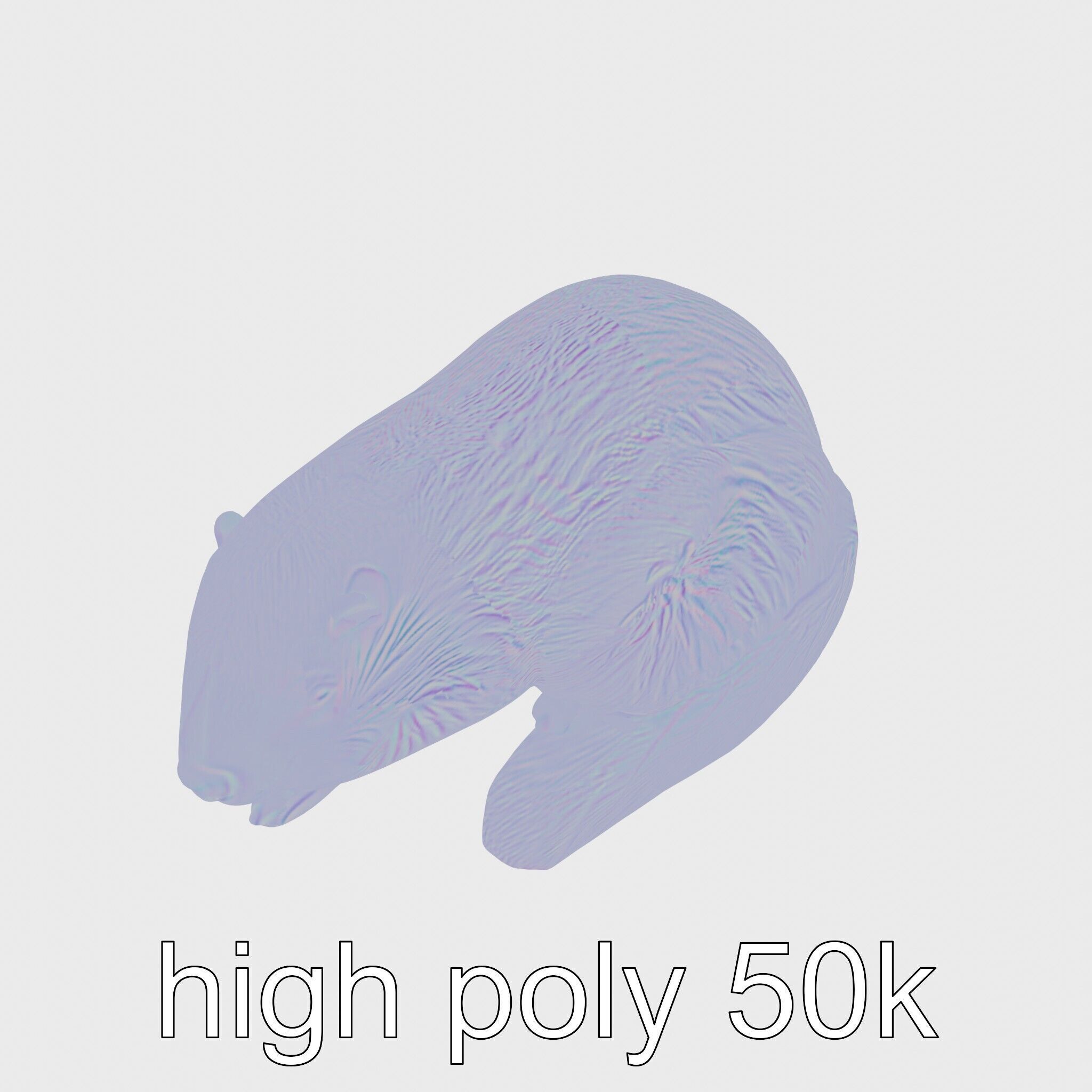 Peaceful Nutria Riverside Nap 3D Model Low-poly 3D model_16