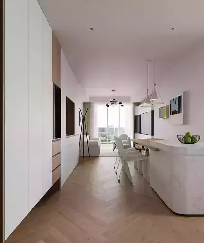 Apartment interior scenes  