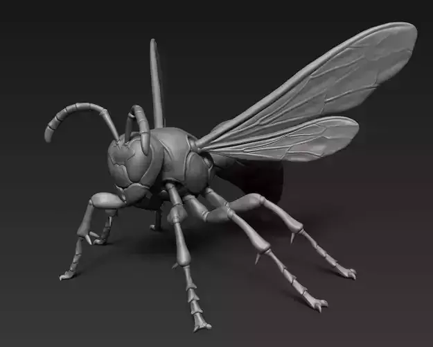 Wasp 3D Print