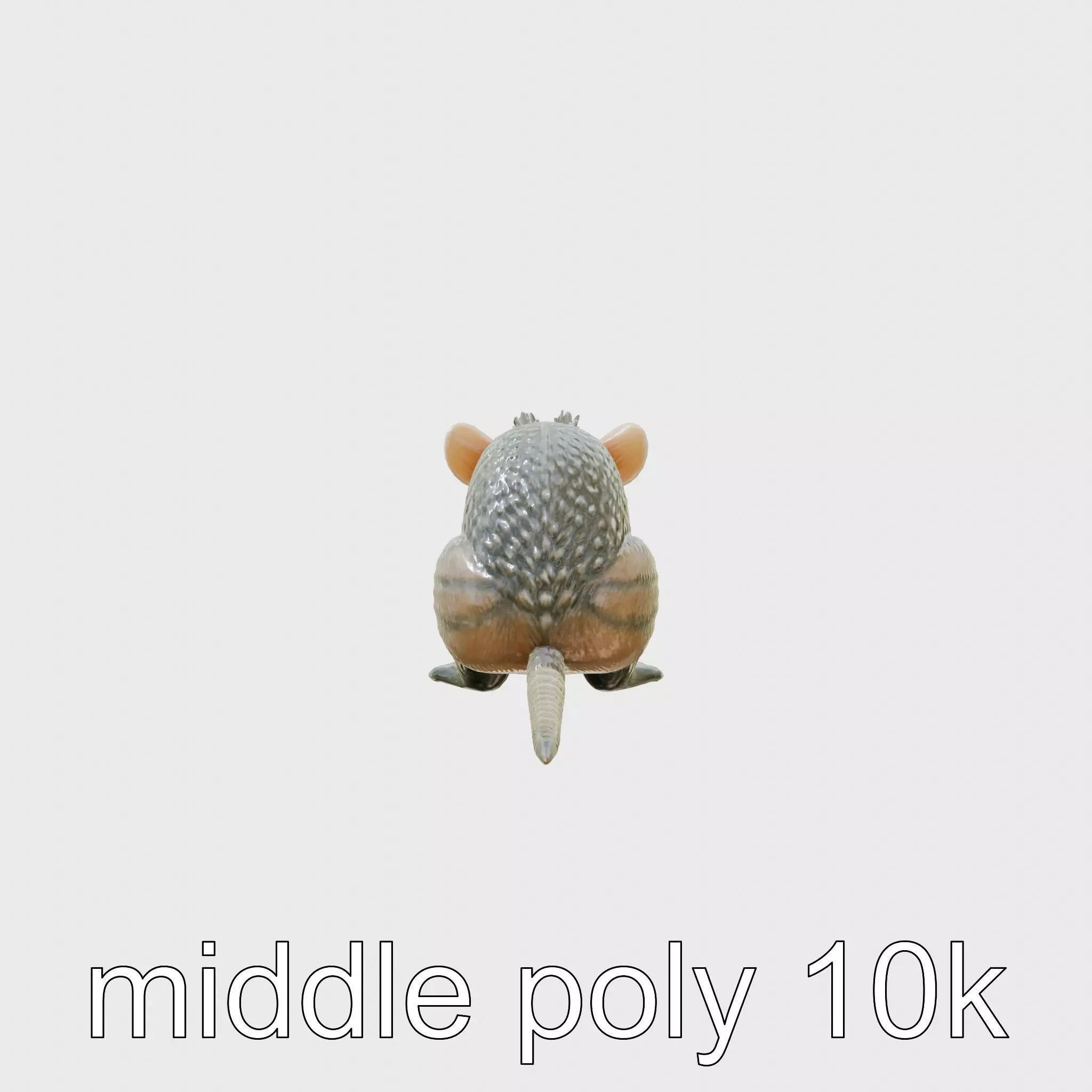 Docile Aardvark African Wildlife Model Low-poly 3D model