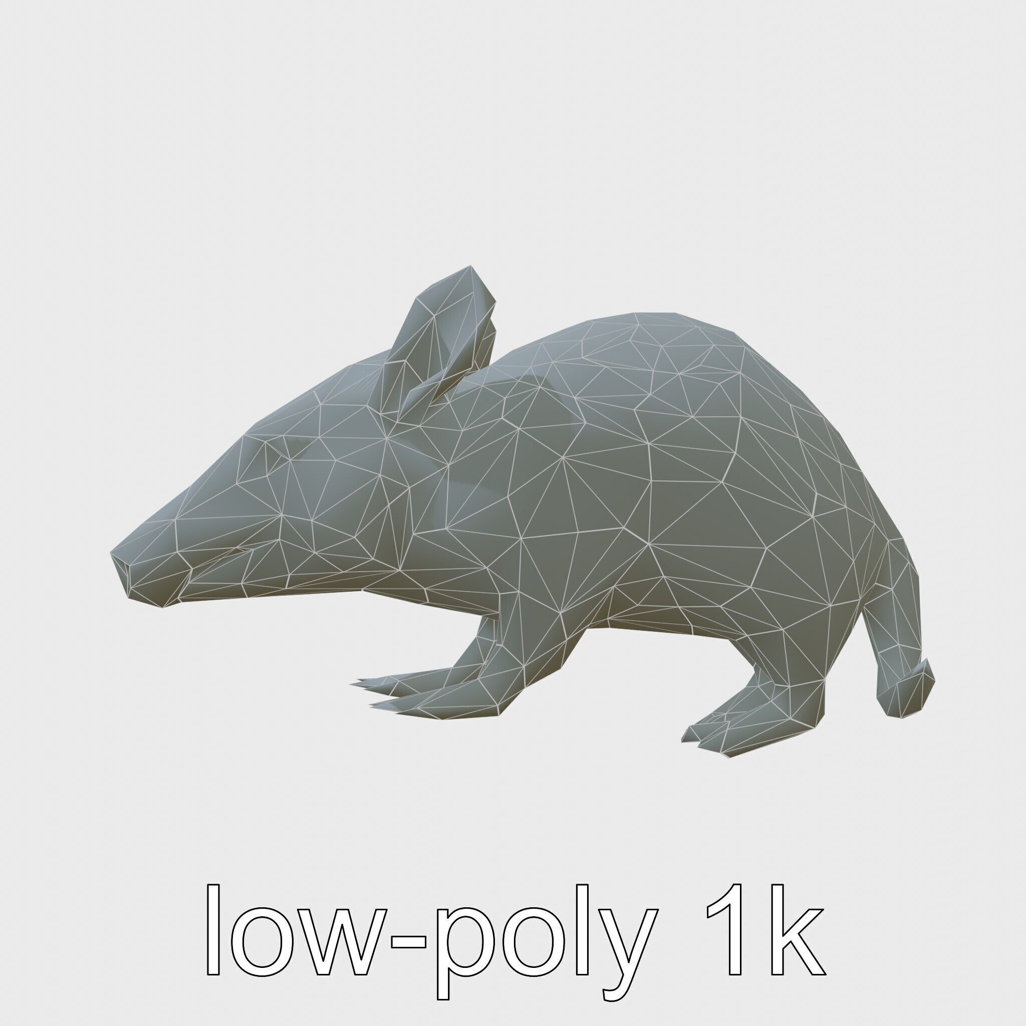 Realistic Aardvark Wildlife Model Low-poly 3D model_10