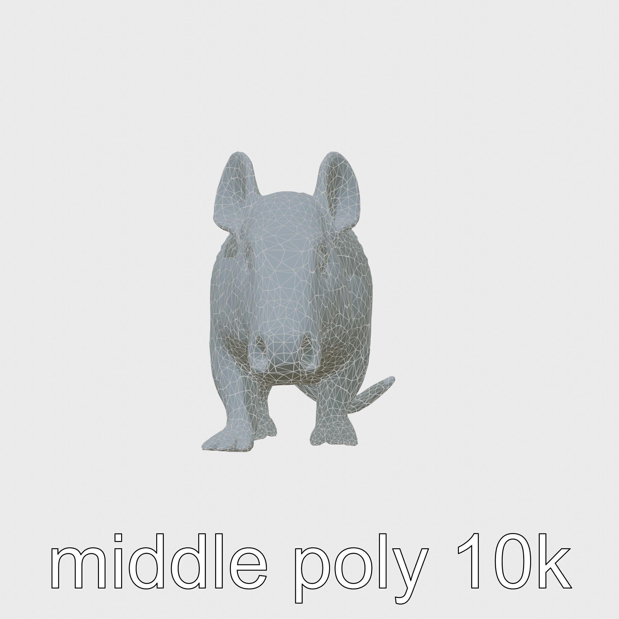 Realistic Aardvark Wildlife Model Low-poly 3D model_29