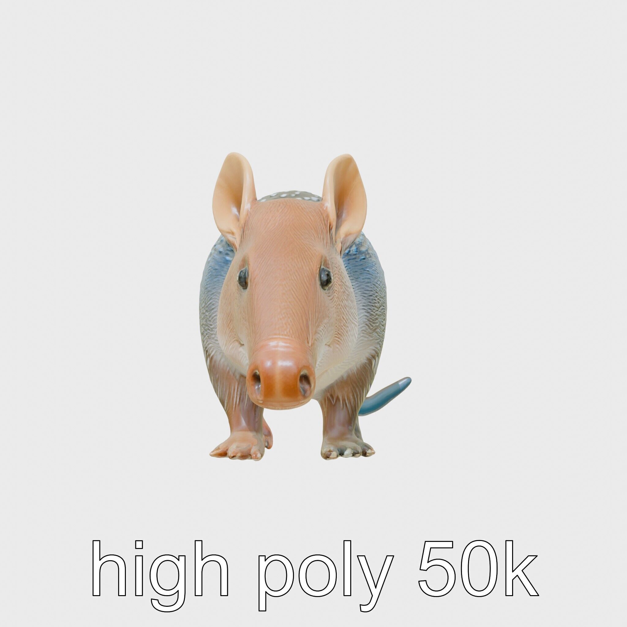 Realistic Aardvark Wildlife Model Low-poly 3D model_19