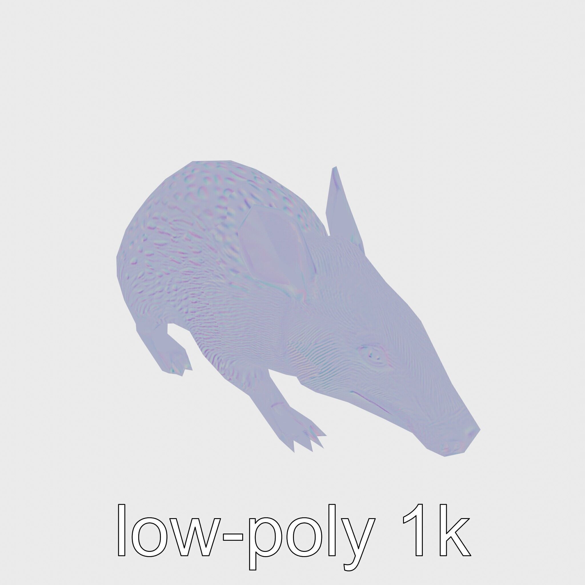 Realistic Aardvark Wildlife Model Low-poly 3D model_26