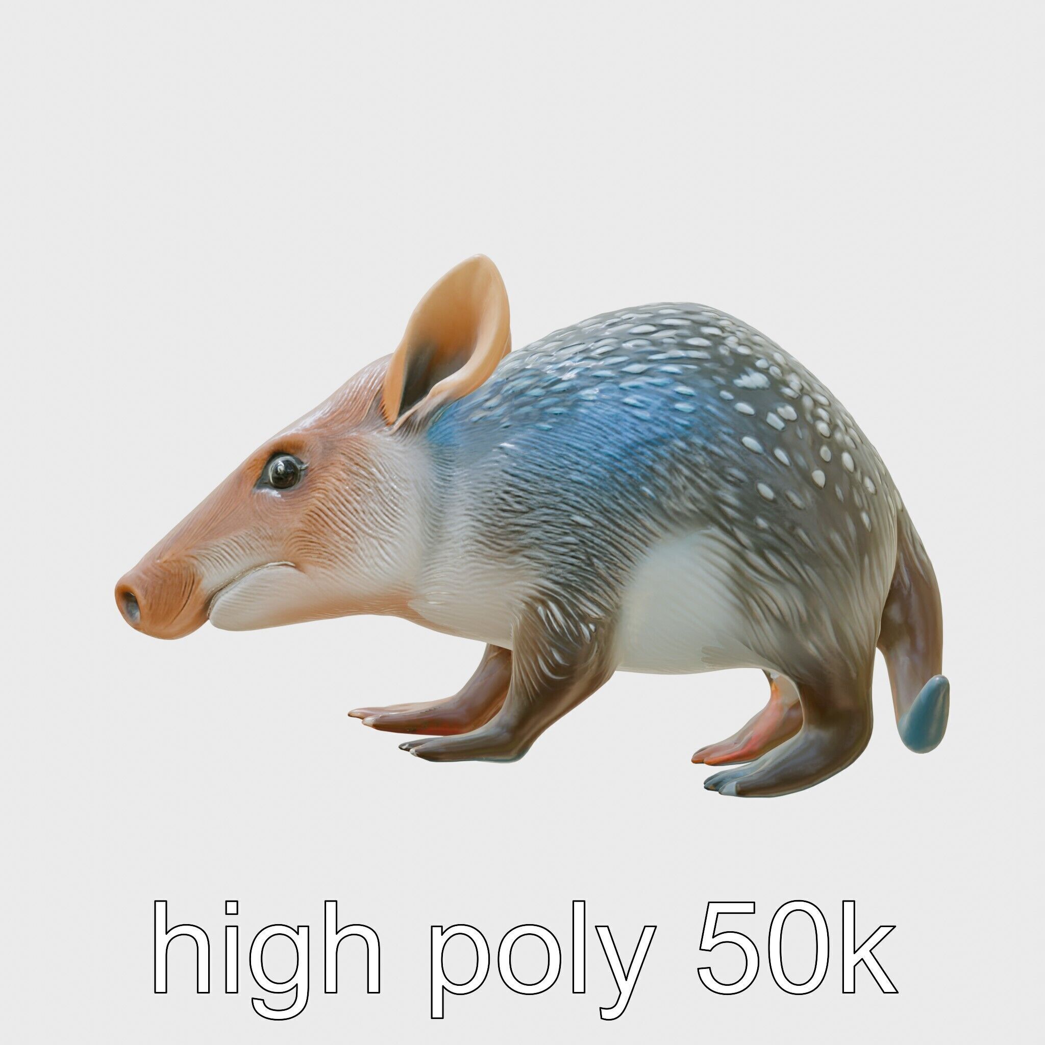 Realistic Aardvark Wildlife Model Low-poly 3D model_5
