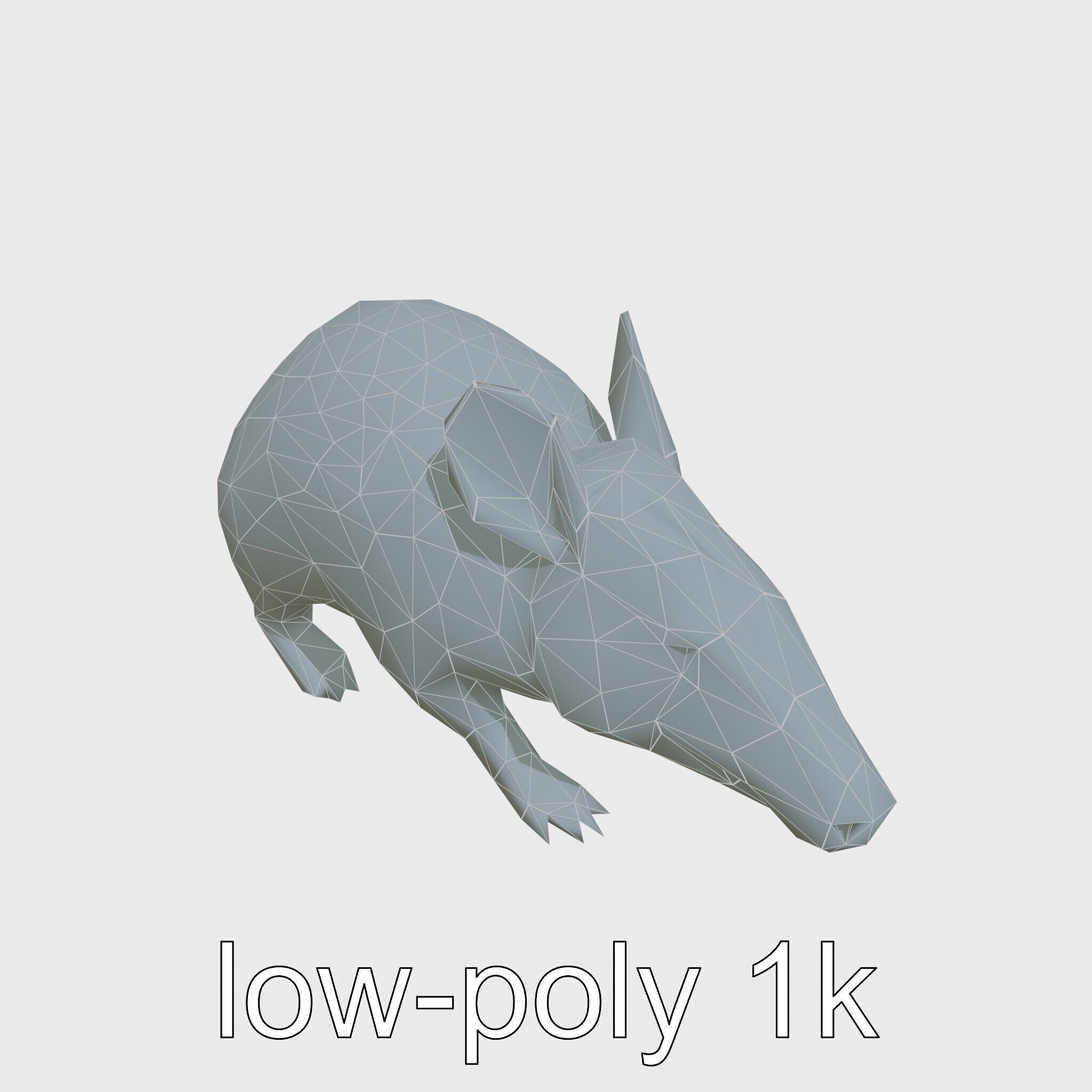 Realistic Aardvark Wildlife Model Low-poly 3D model_17