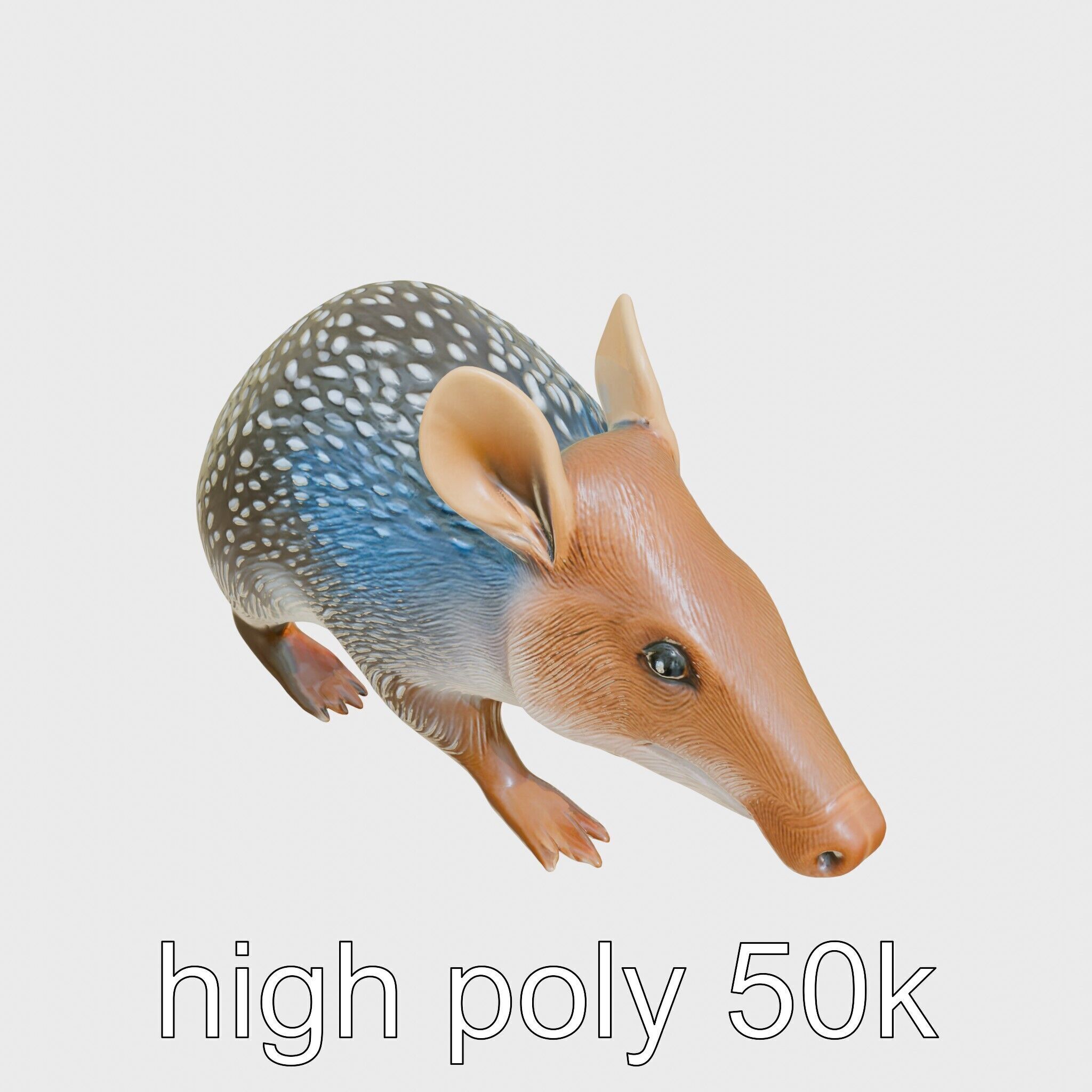 Realistic Aardvark Wildlife Model Low-poly 3D model_11