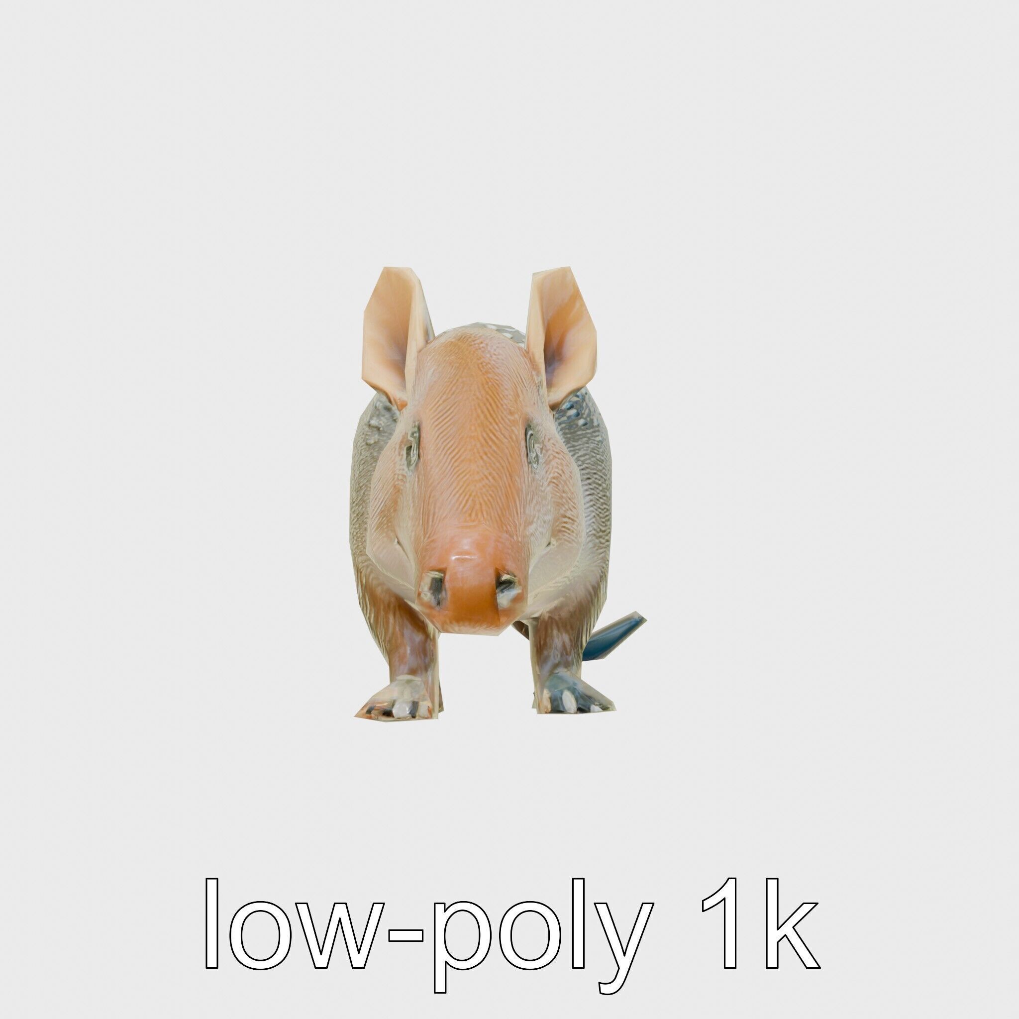 Realistic Aardvark Wildlife Model Low-poly 3D model_24