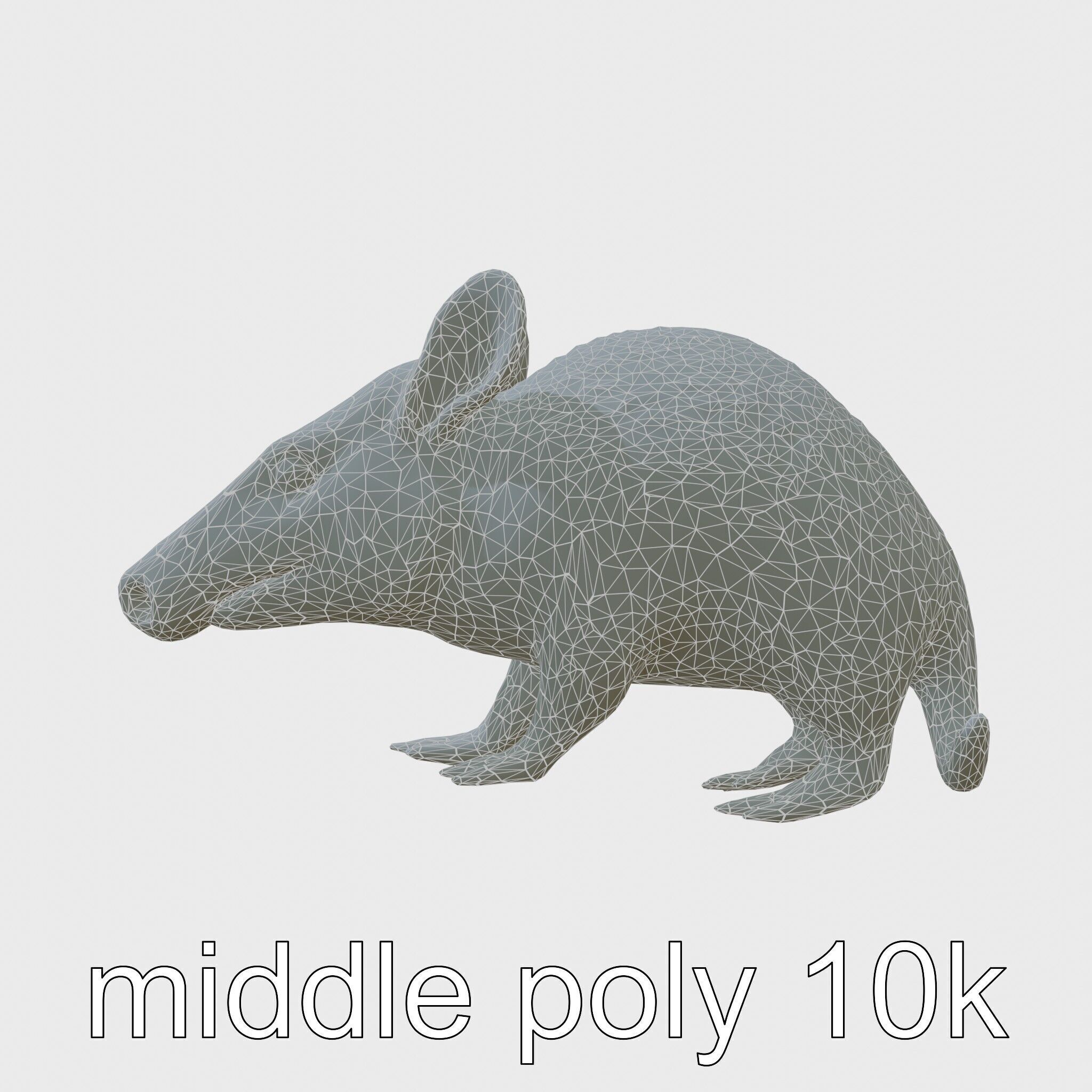 Realistic Aardvark Wildlife Model Low-poly 3D model_9