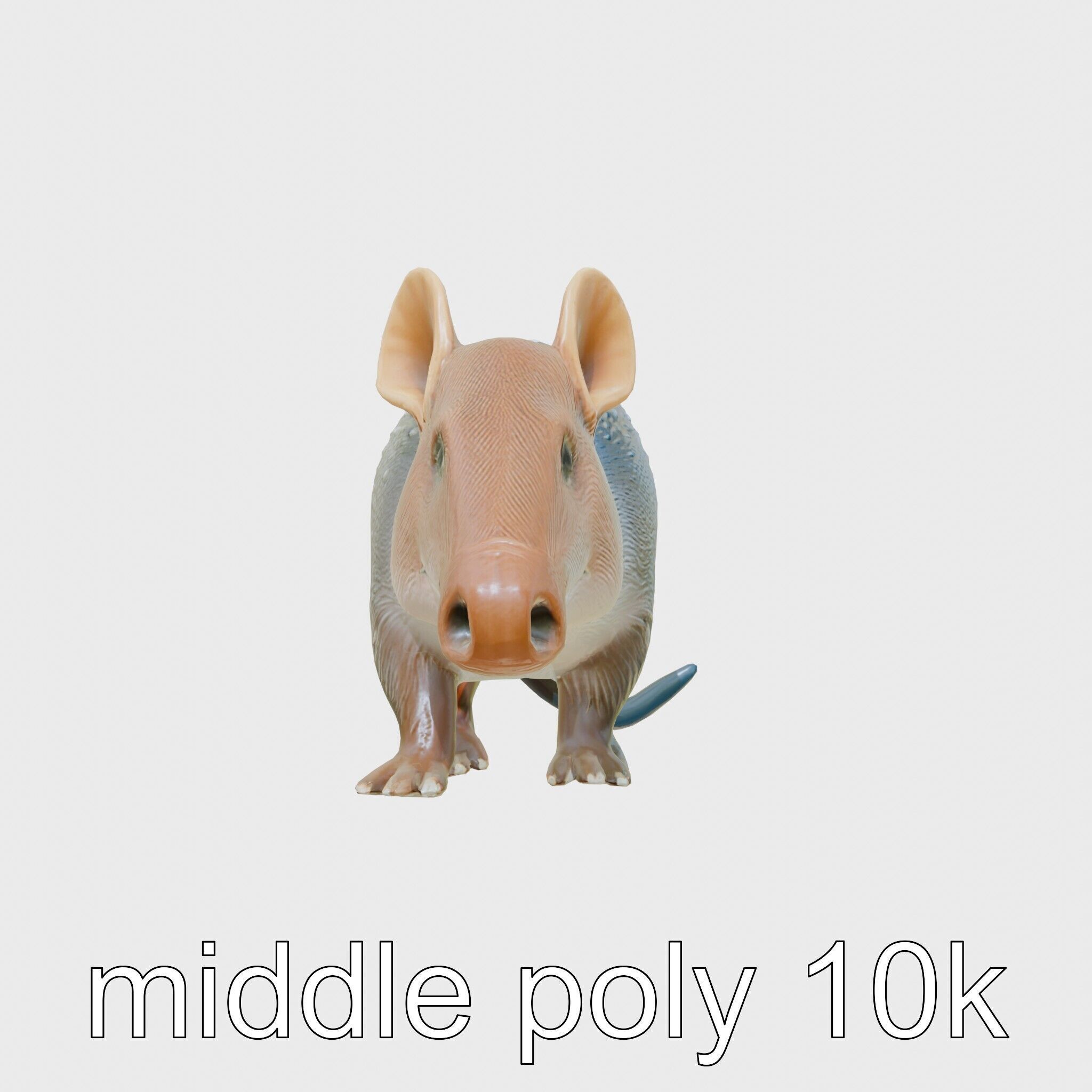 Realistic Aardvark Wildlife Model Low-poly 3D model_16
