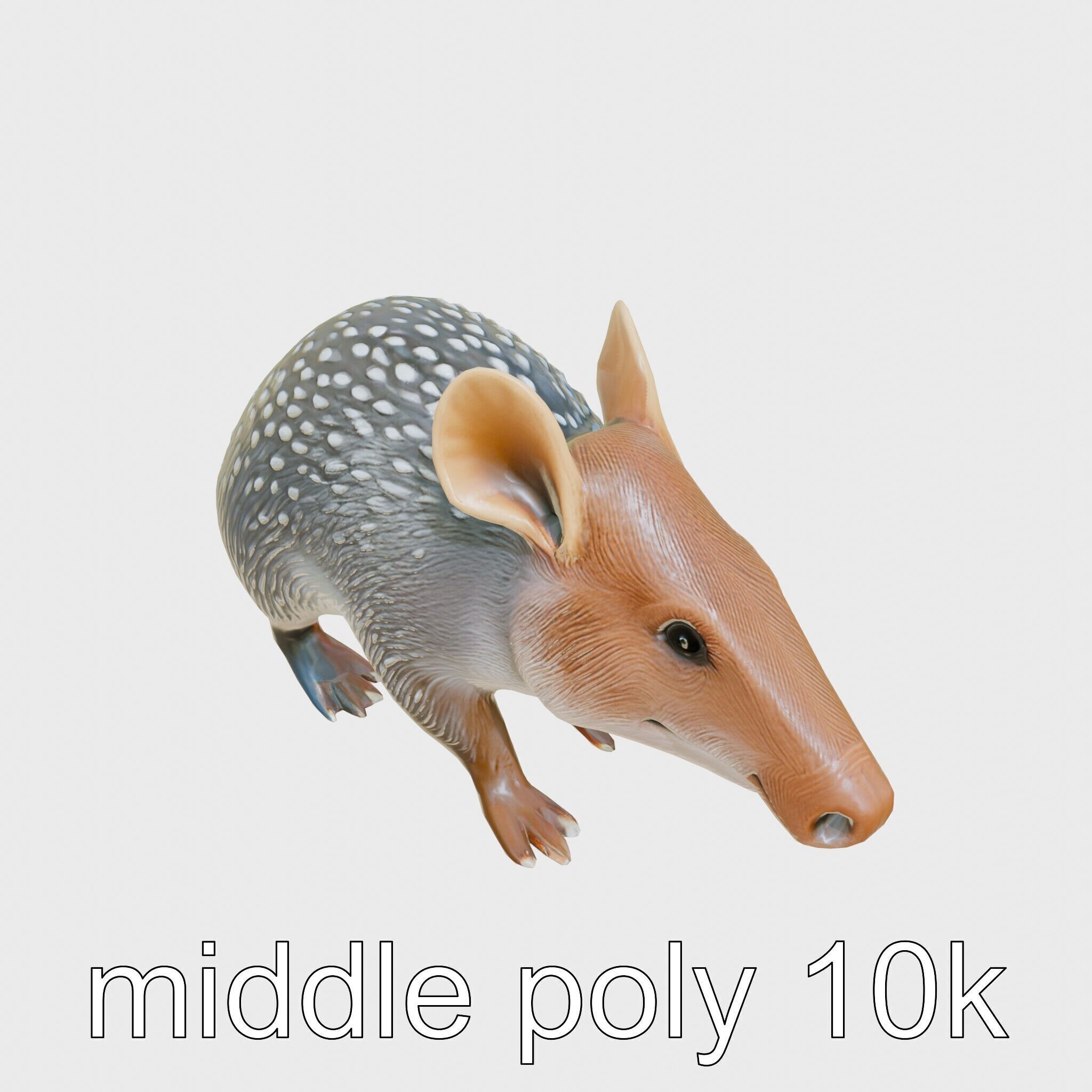 Realistic Aardvark Wildlife Model Low-poly 3D model_12