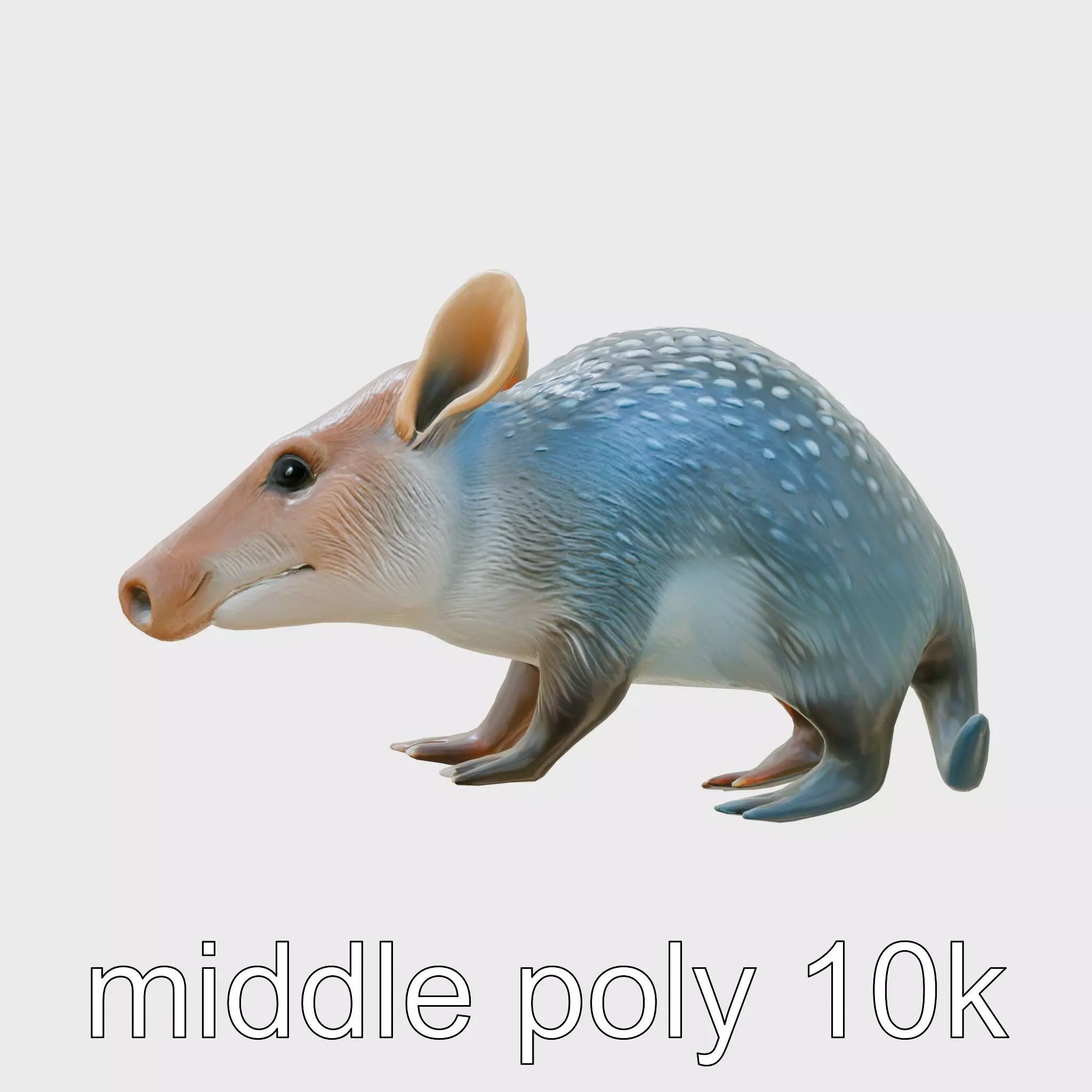 Realistic Aardvark Wildlife Model Low-poly 3D model_0