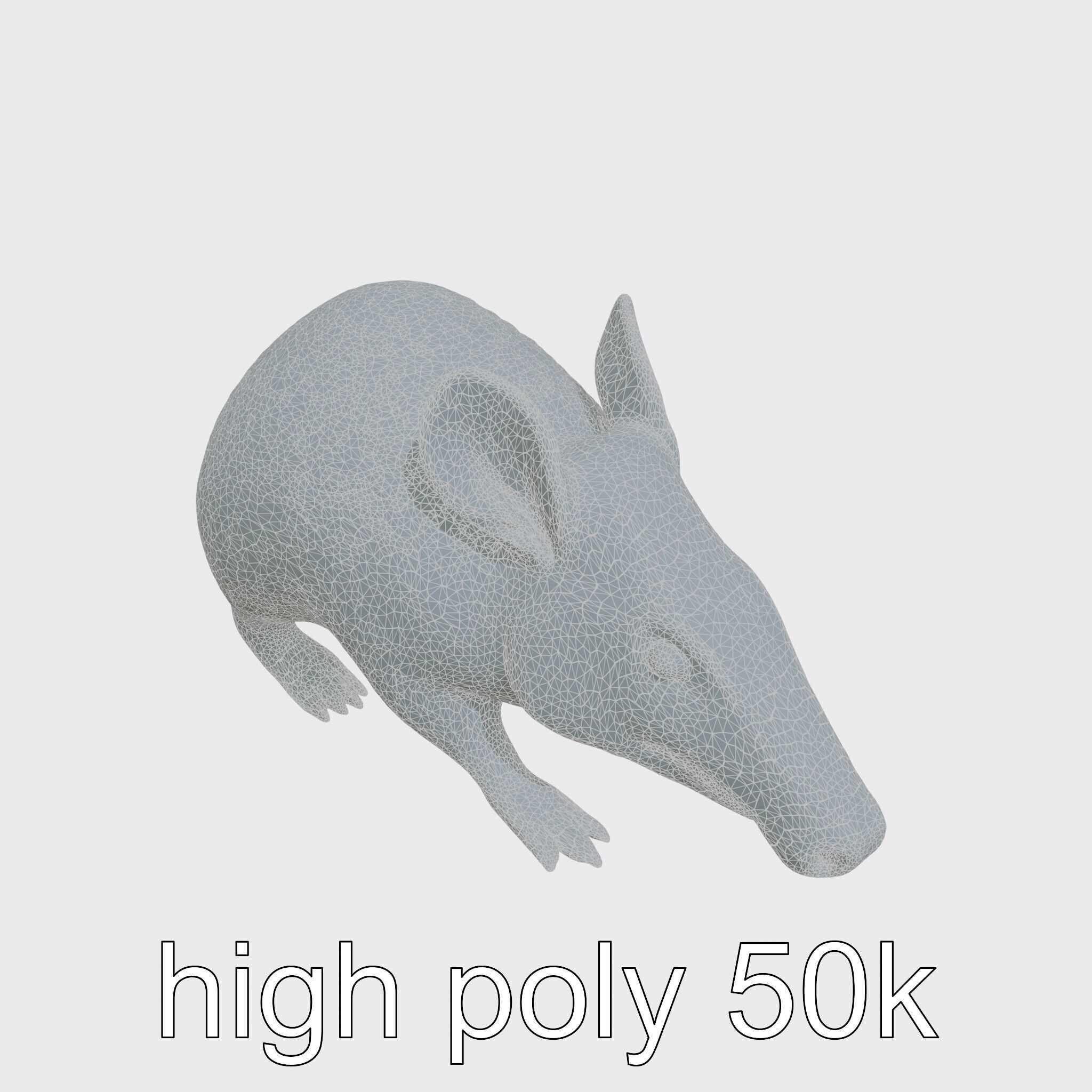 Realistic Aardvark Wildlife Model Low-poly 3D model_15