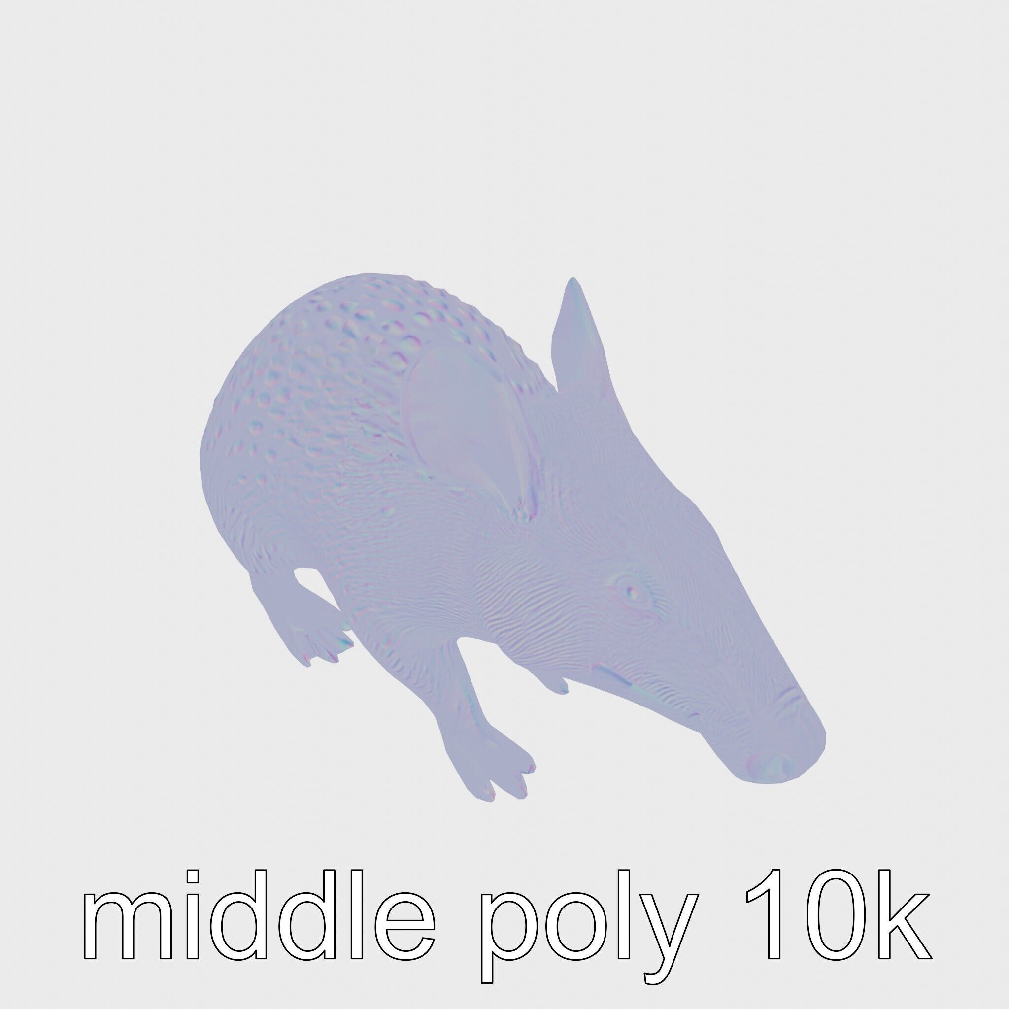Realistic Aardvark Wildlife Model Low-poly 3D model_14