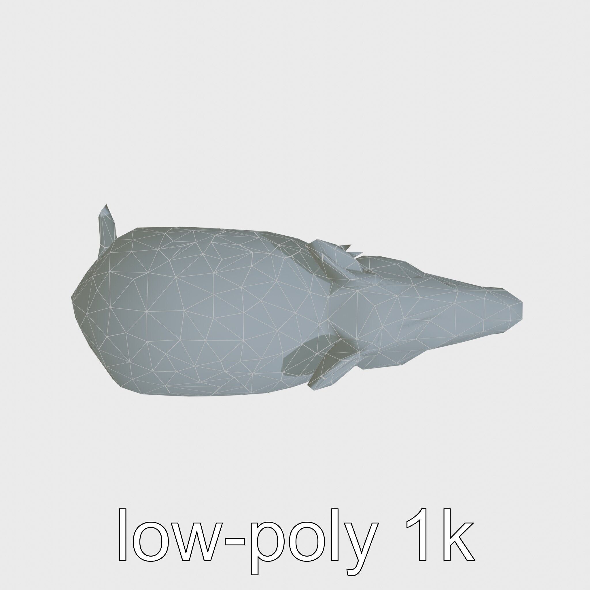 Realistic Aardvark Wildlife Model Low-poly 3D model_20