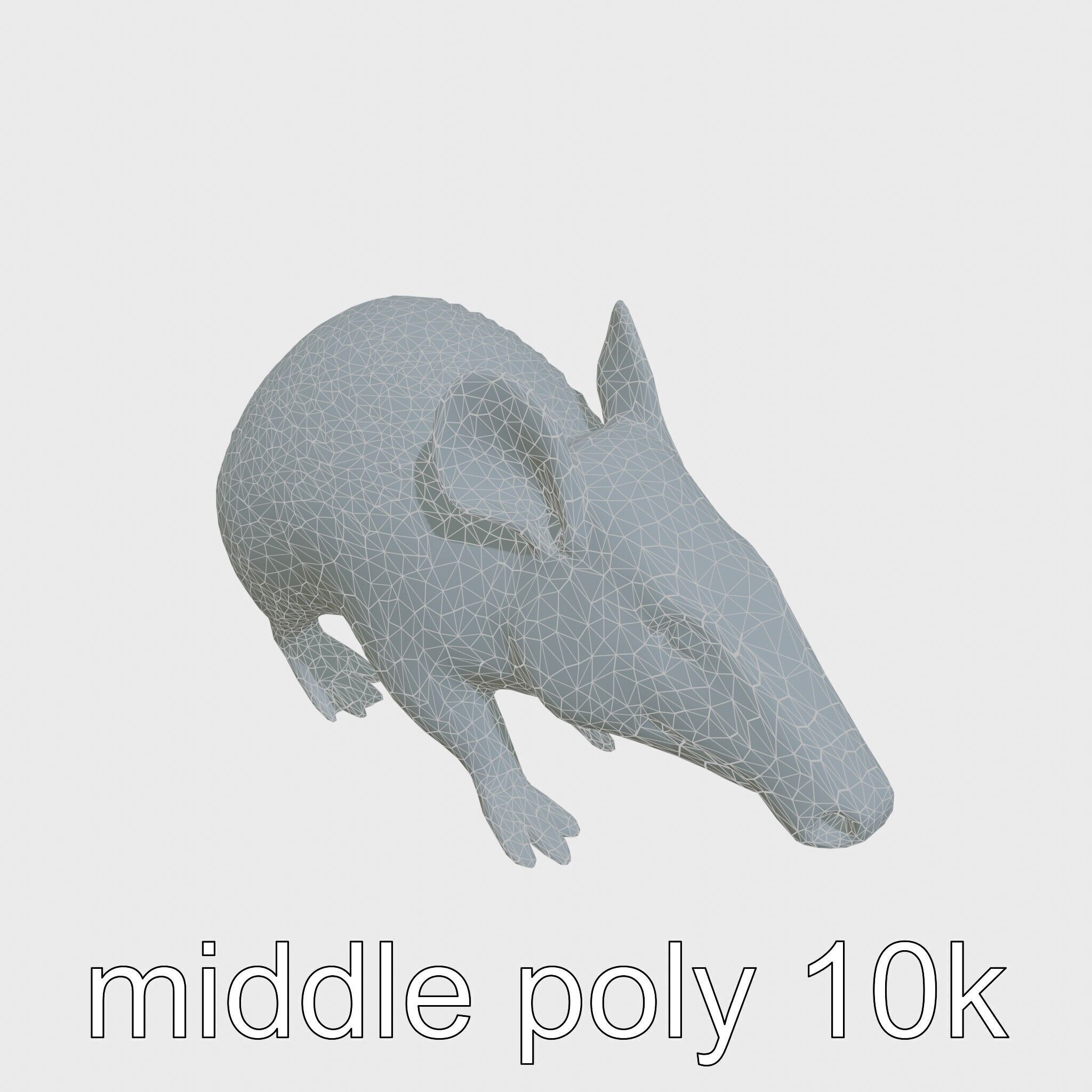 Realistic Aardvark Wildlife Model Low-poly 3D model_18