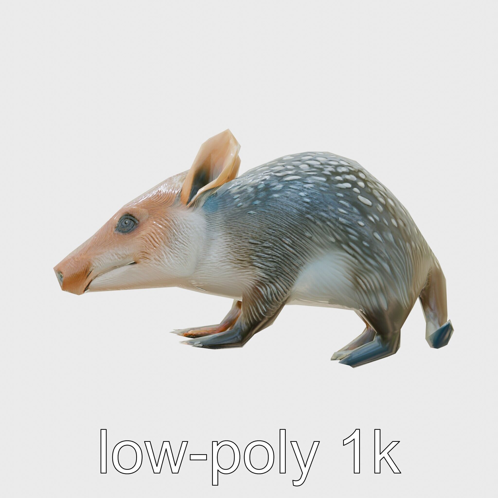 Realistic Aardvark Wildlife Model Low-poly 3D model_7
