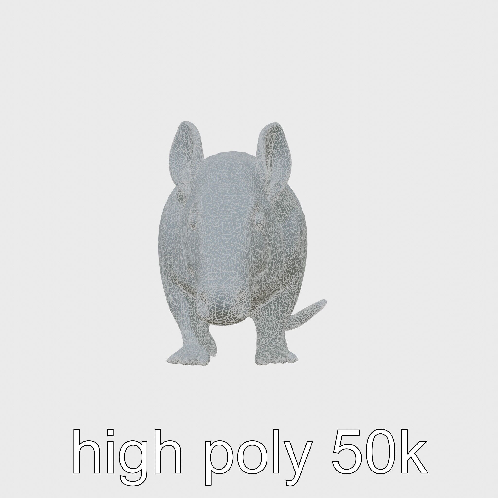 Realistic Aardvark Wildlife Model Low-poly 3D model_22