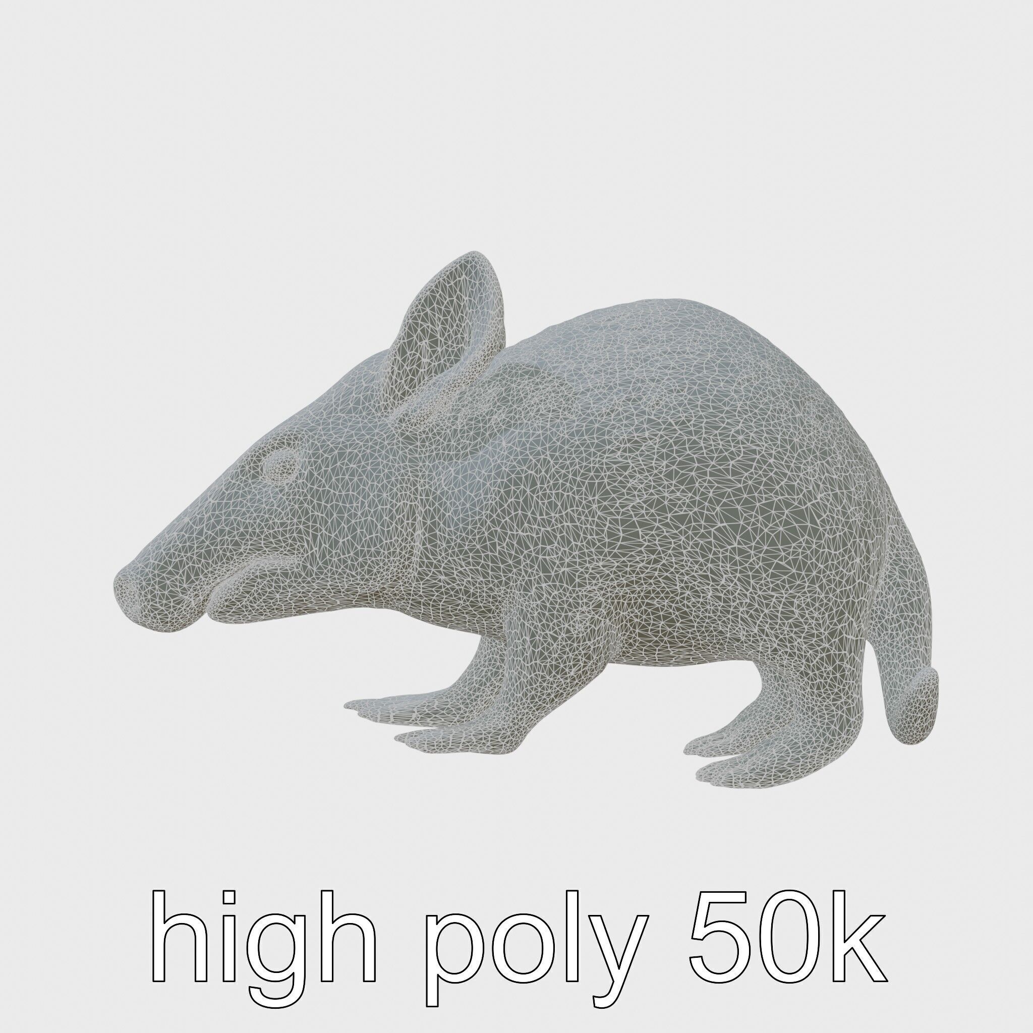 Realistic Aardvark Wildlife Model Low-poly 3D model_8