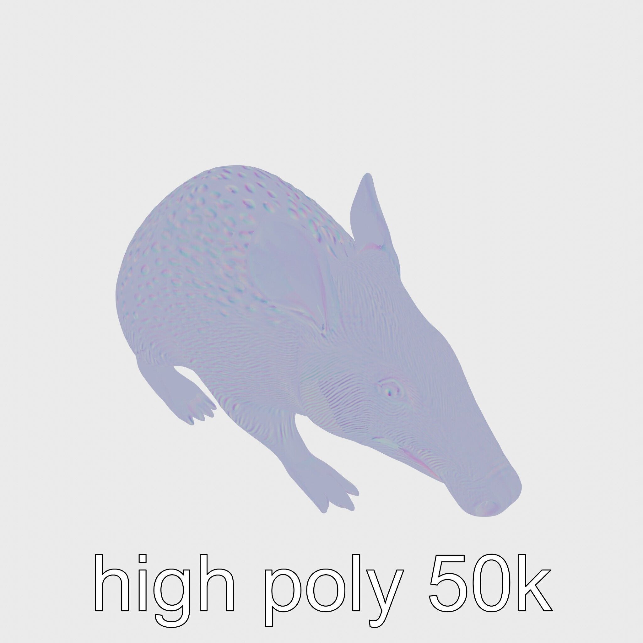 Realistic Aardvark Wildlife Model Low-poly 3D model_23