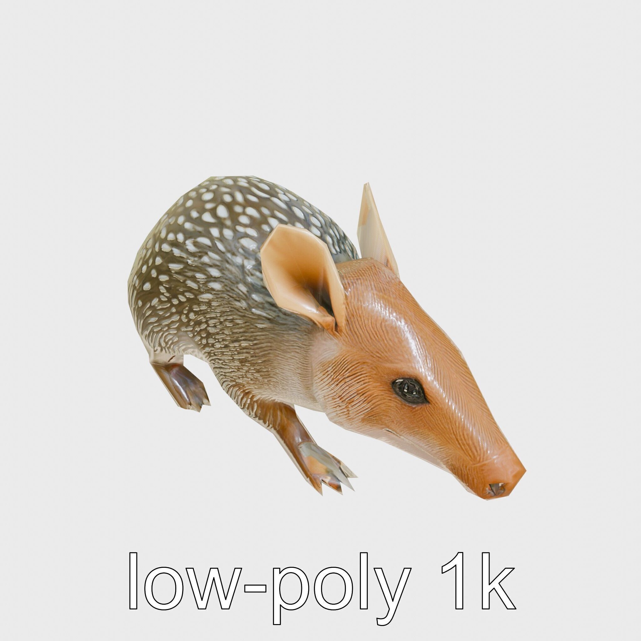 Realistic Aardvark Wildlife Model Low-poly 3D model_13