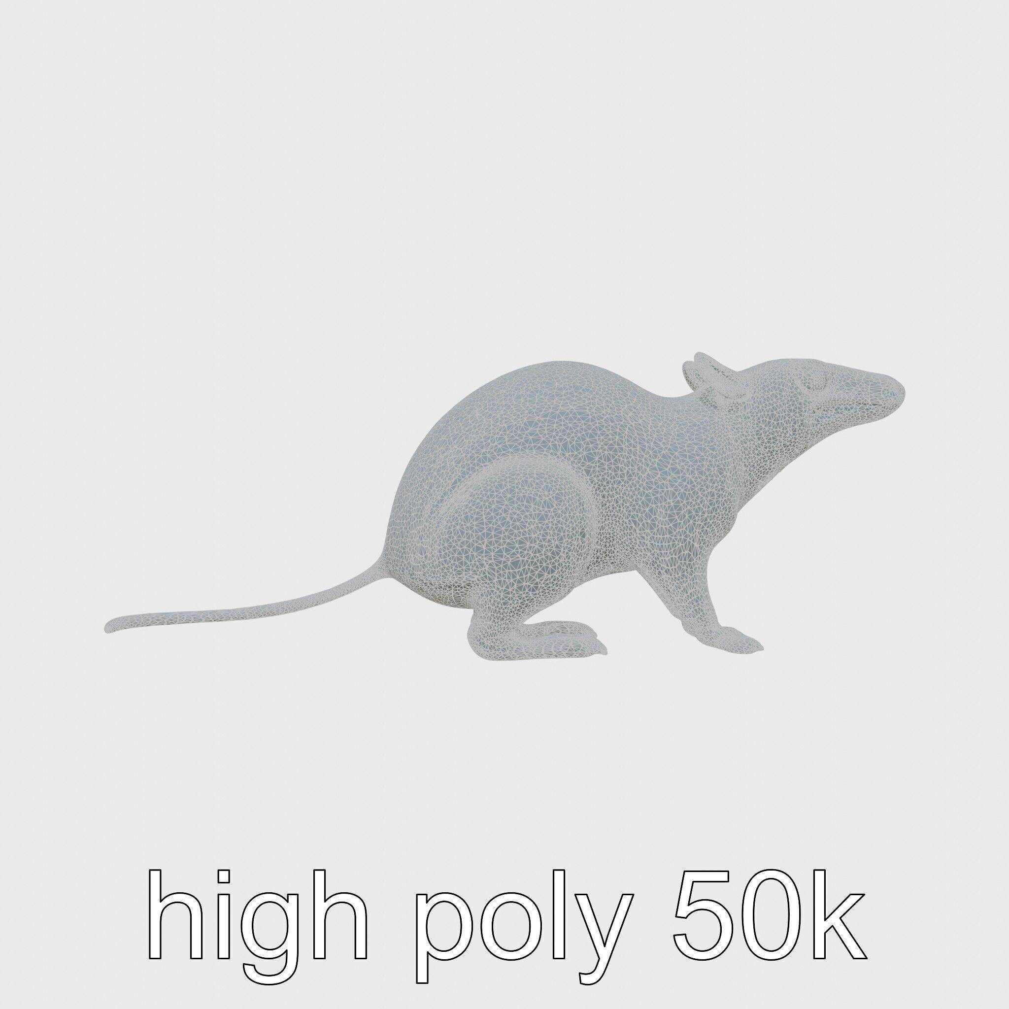 Serene Aardvark Model Evoking Tranquility Low-poly 3D model_24